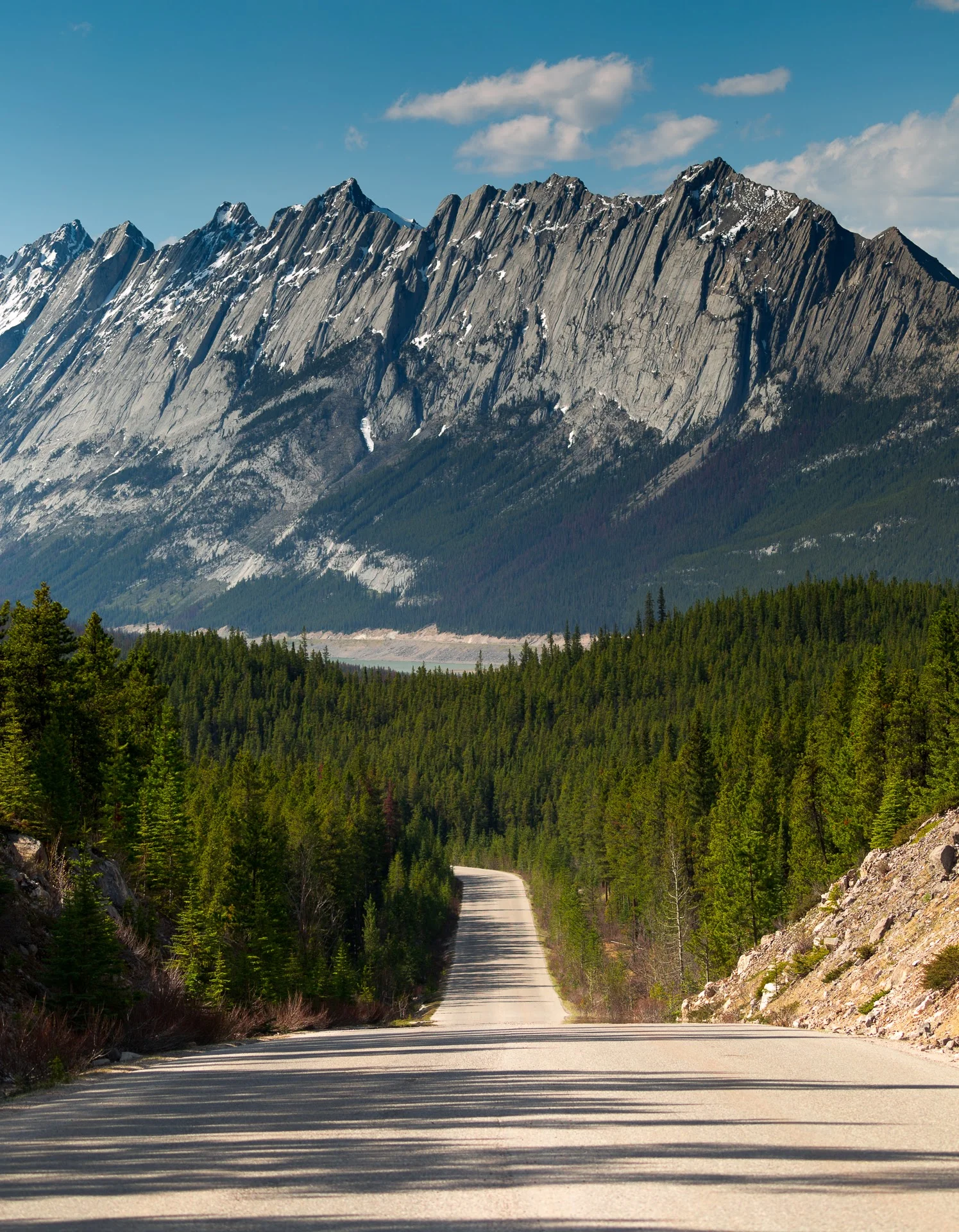 Jasper_Landscape-9215.jpg