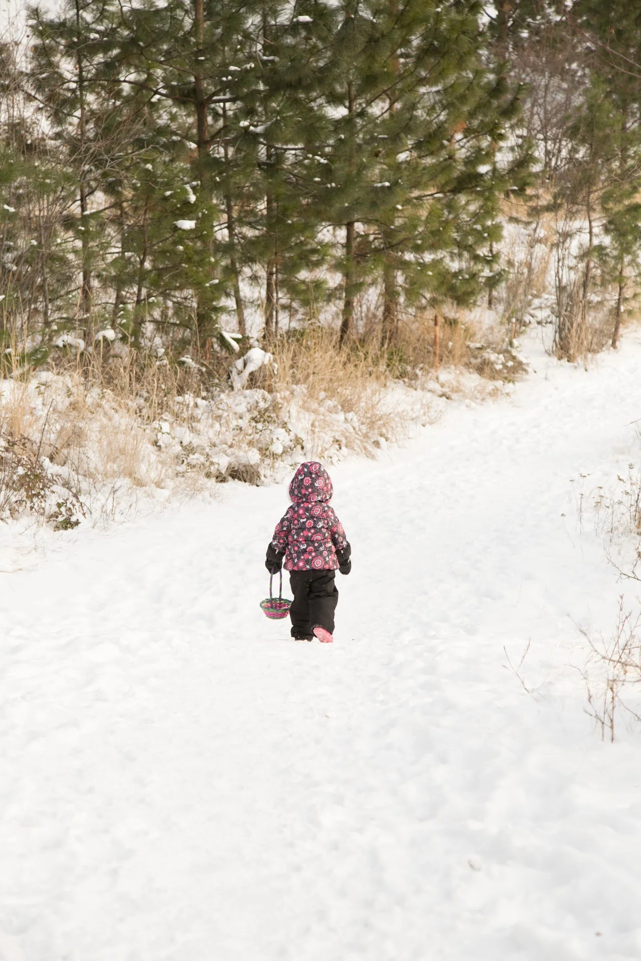 AidanAdriana_Winter16_04 (1 of 1).jpg