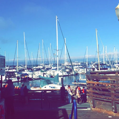 City Showcase: San Francisco