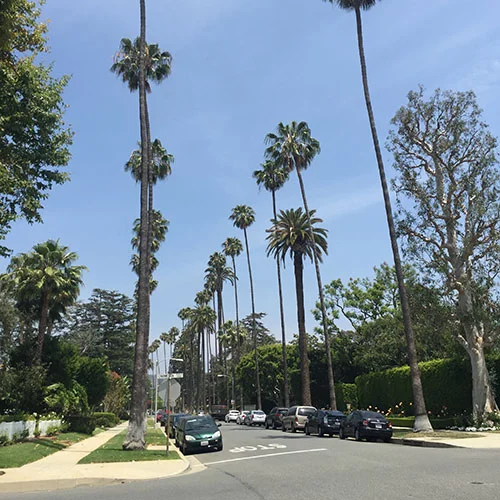 City Showcase: Los Angeles