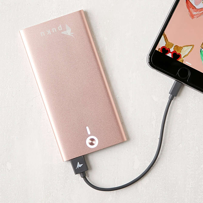 Puku Light Charging Pack