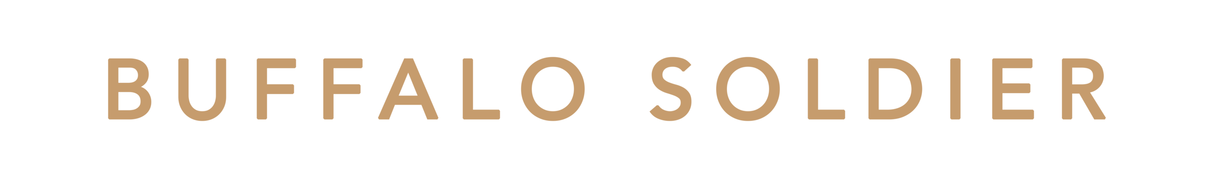 BS_Title.png