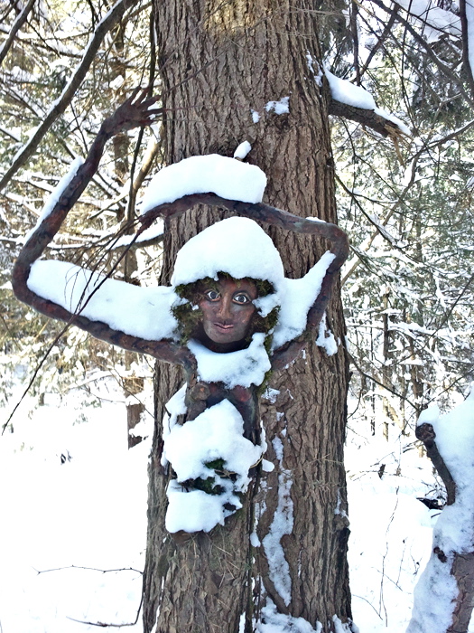 Fey has made it through 3 winters!