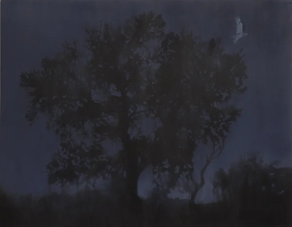 "Nightshade"