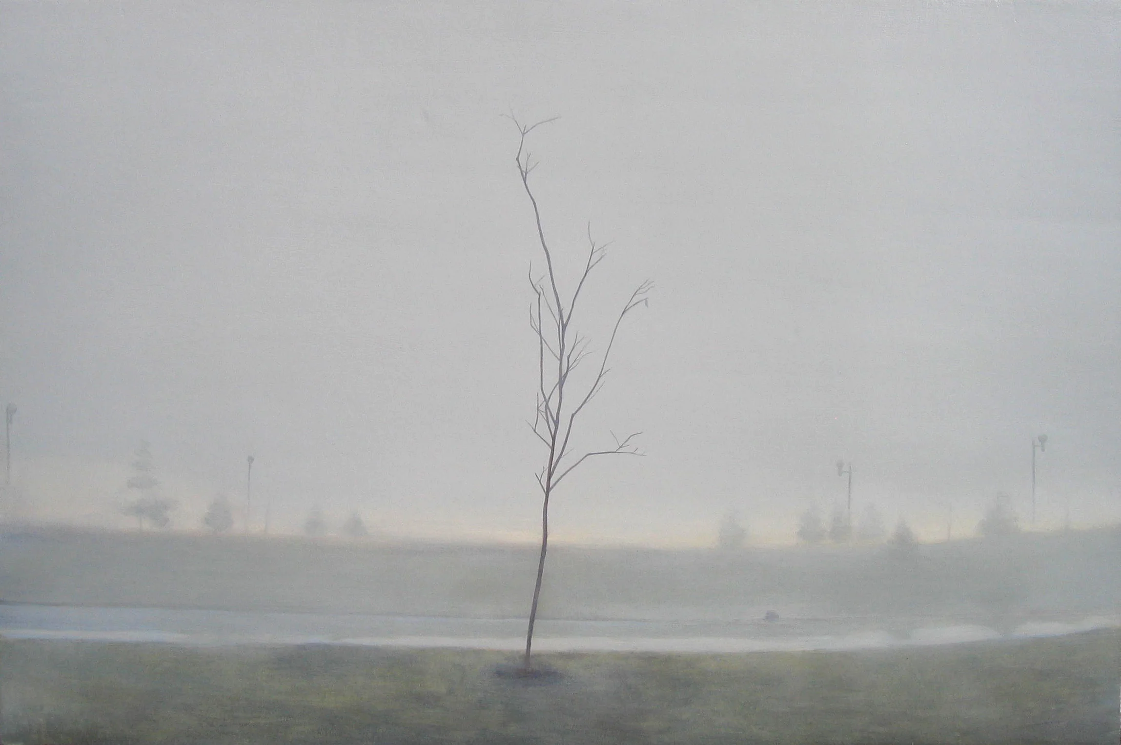 "Deciduous"