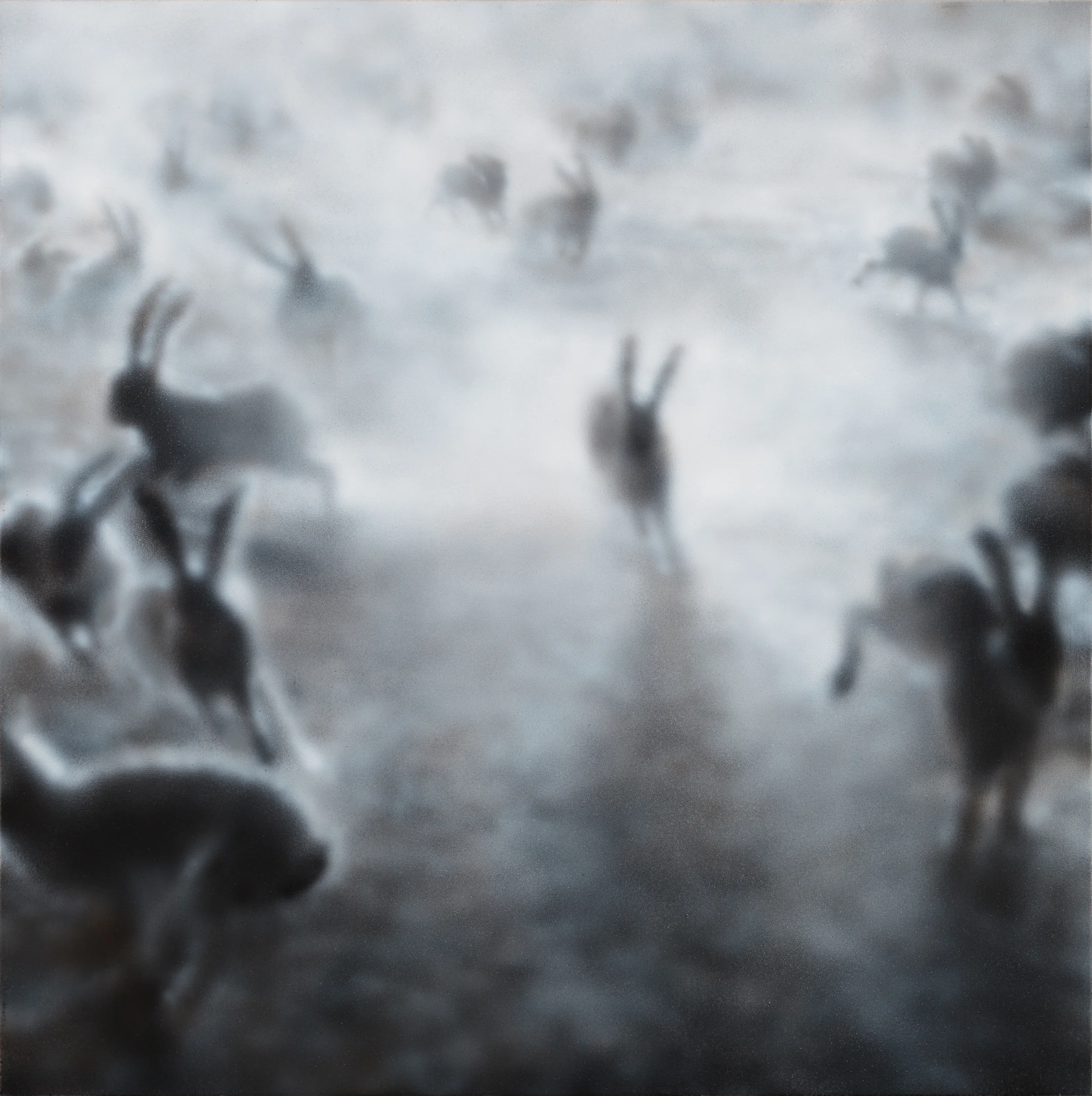 "Dust Bunnies" (1)