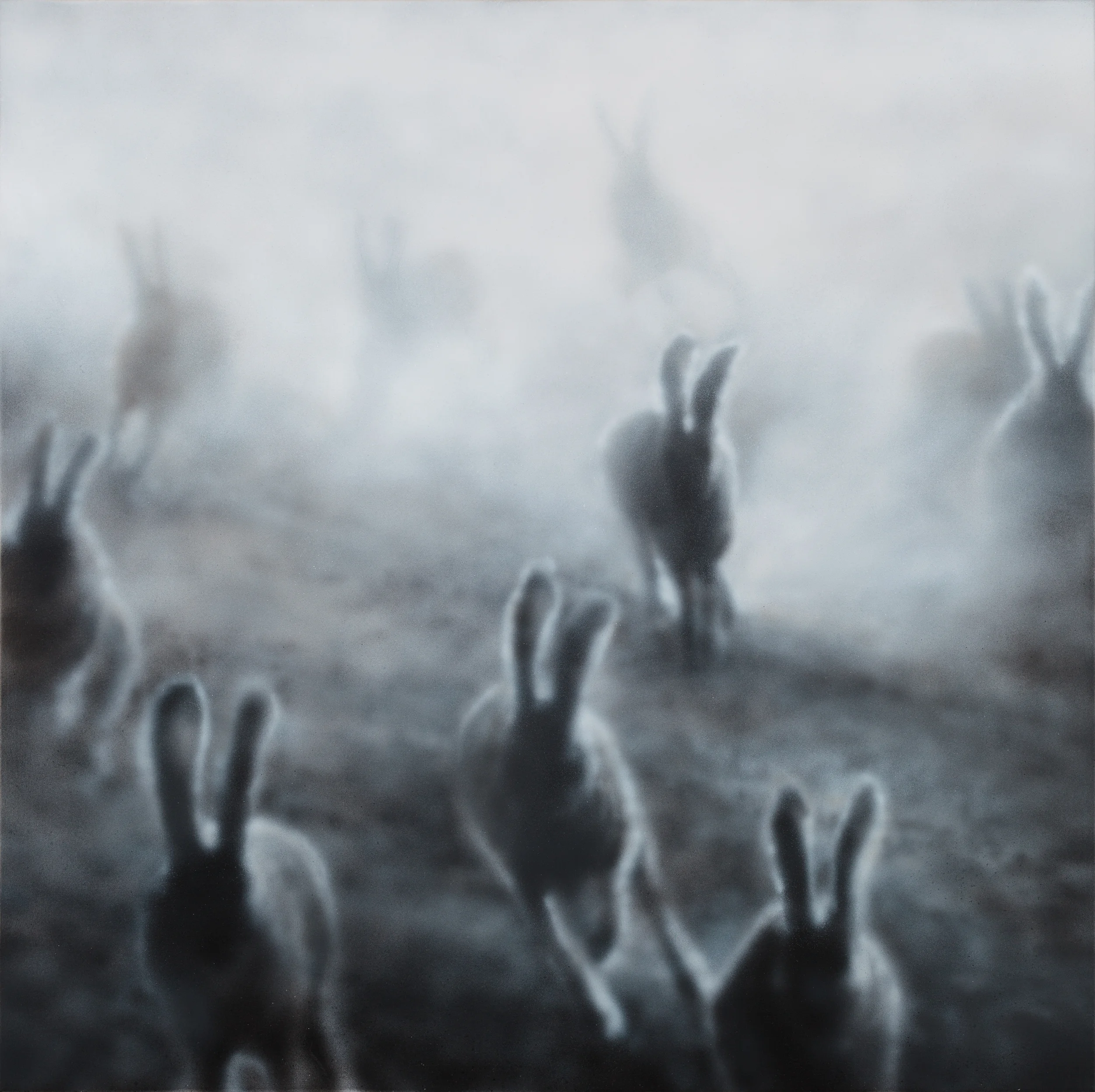 "Dust Bunnies" (2)