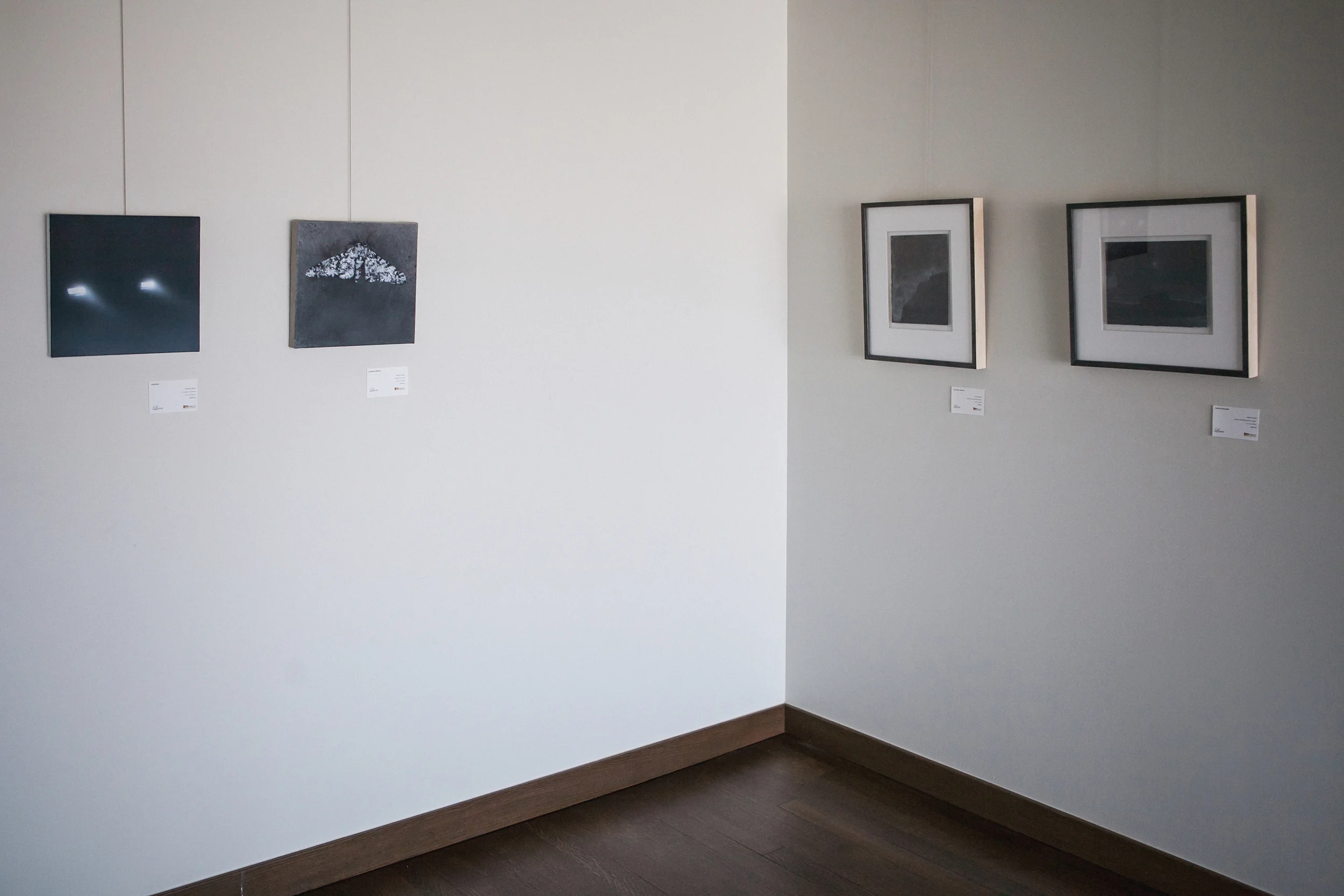 "Dust" Installation View