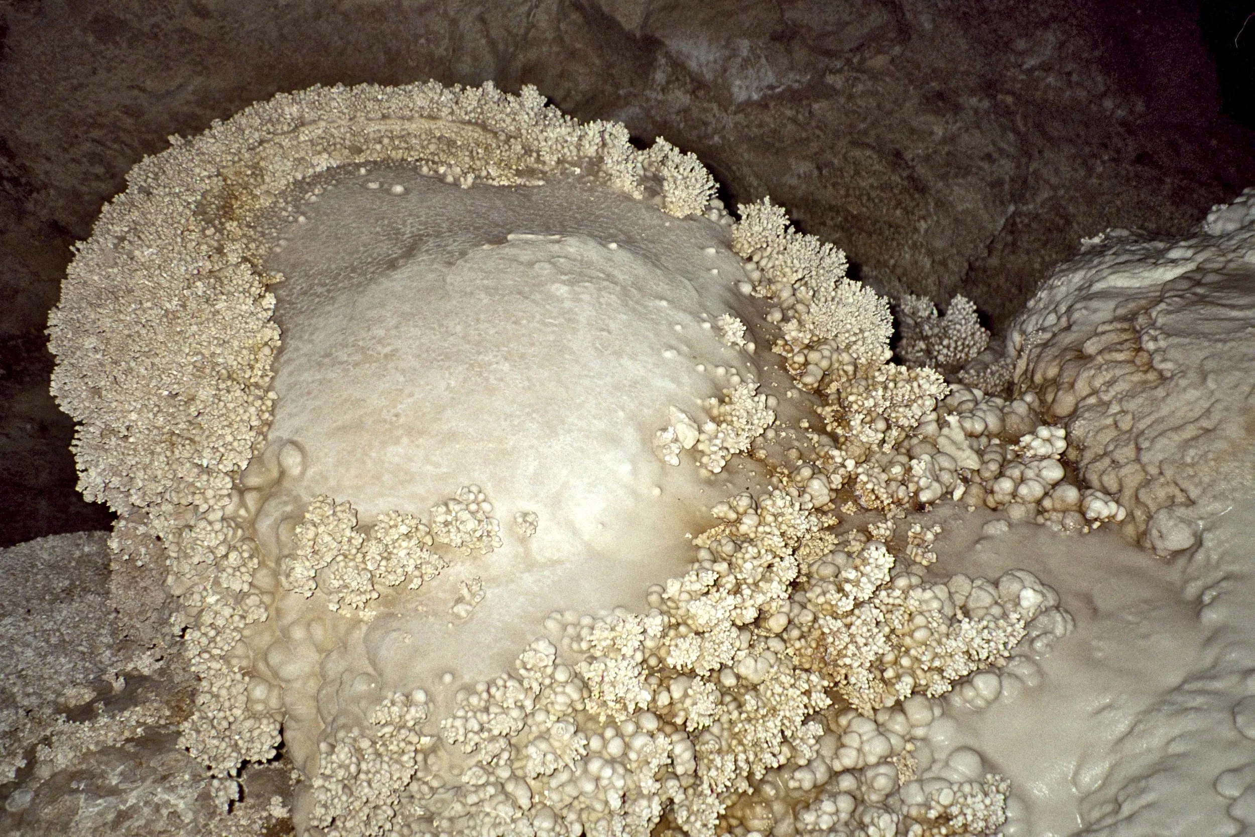White calcite popcorn and flowstone