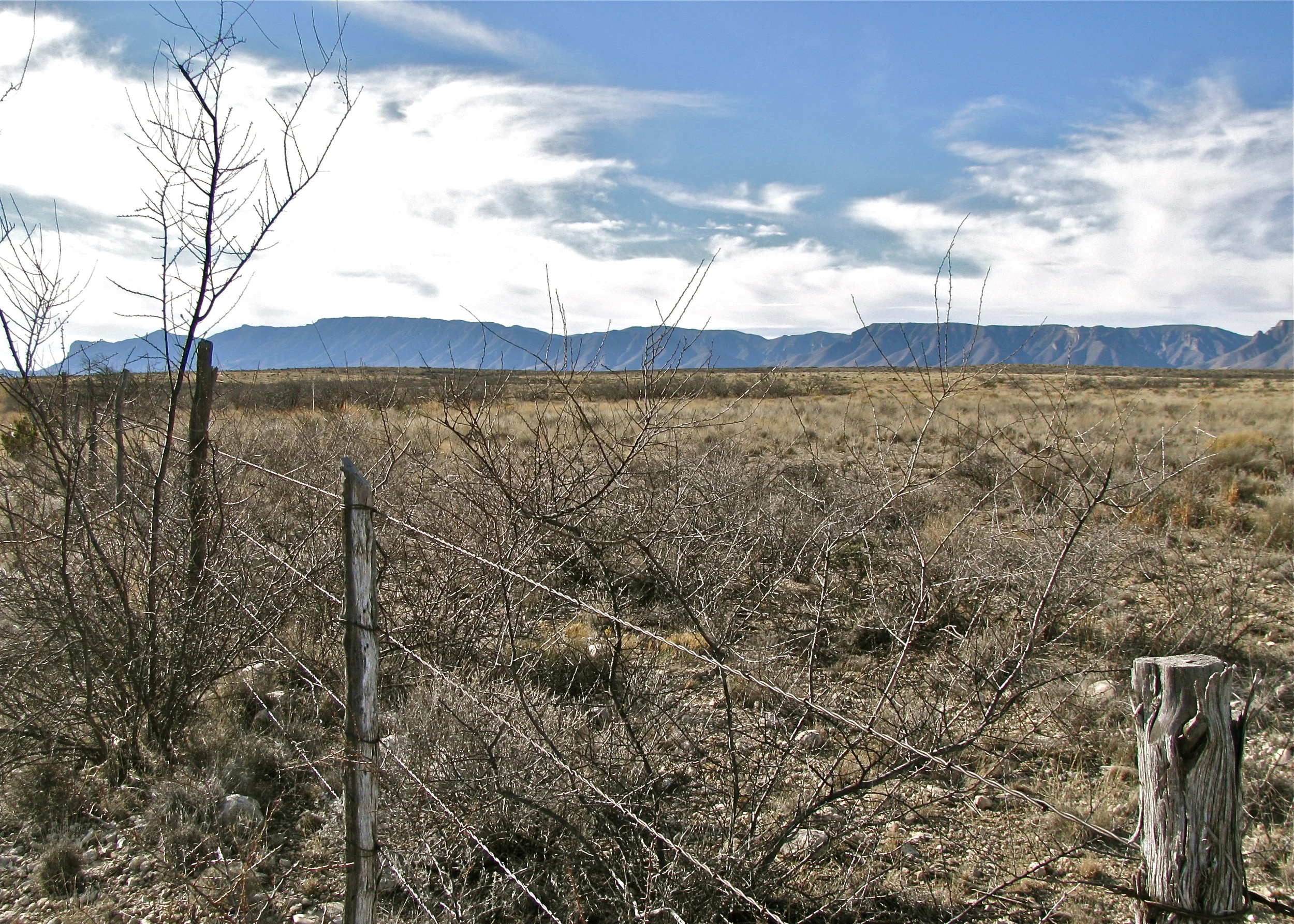 Guadalupe Escarpment
