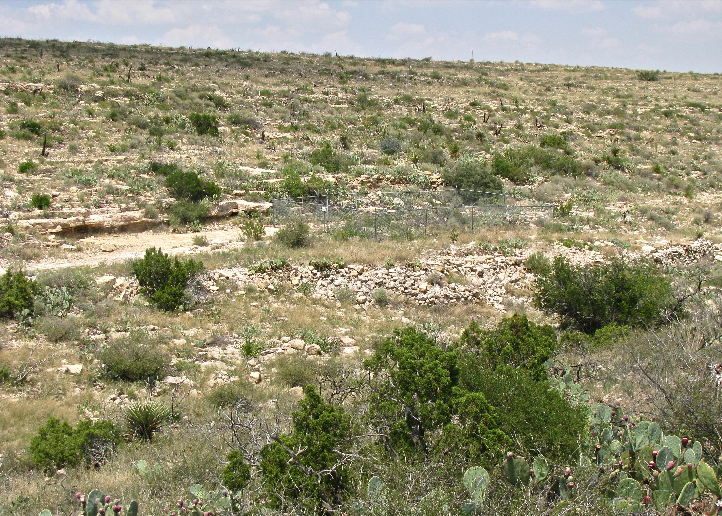 Guano mine site