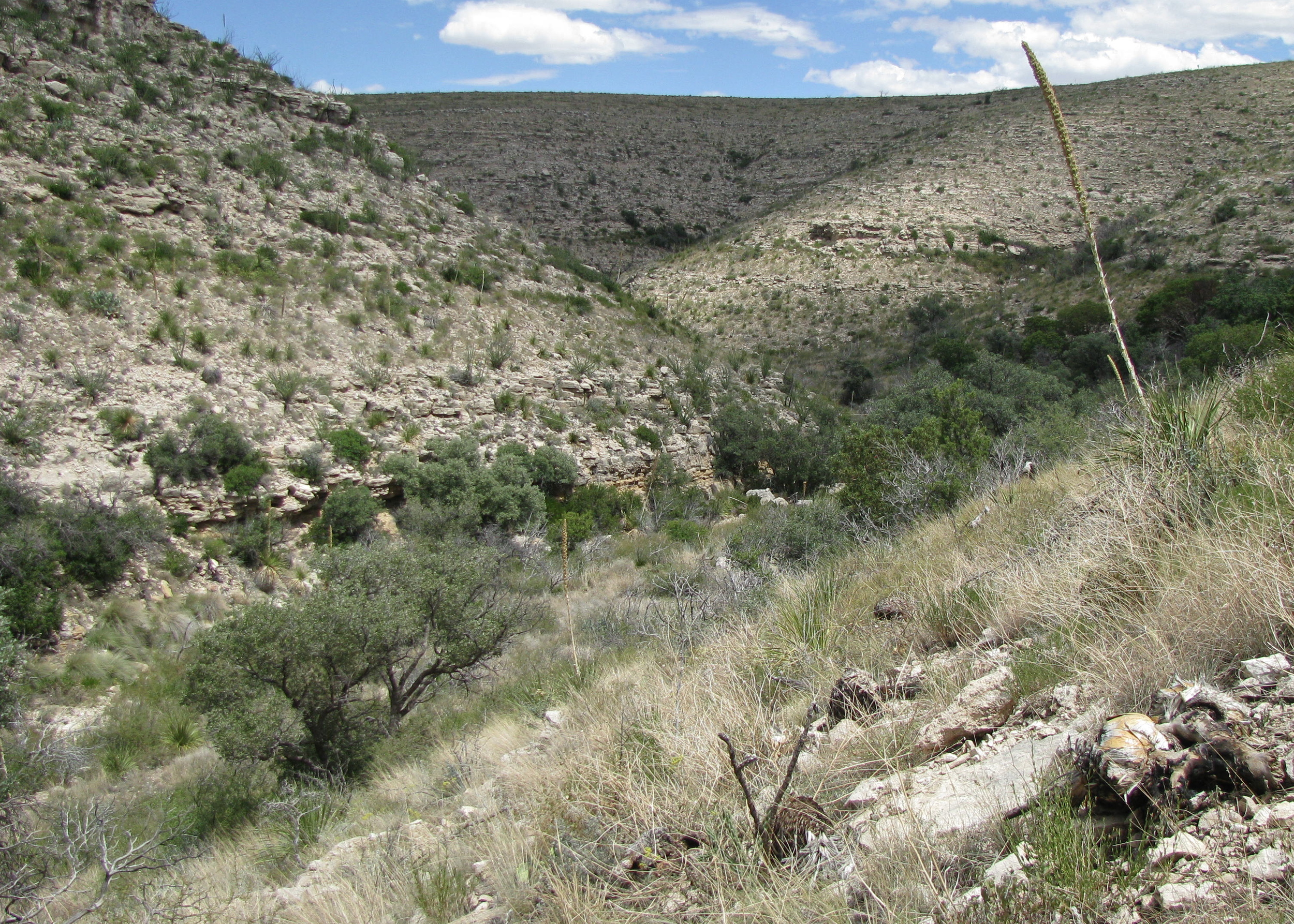 Trail to Spider Cave