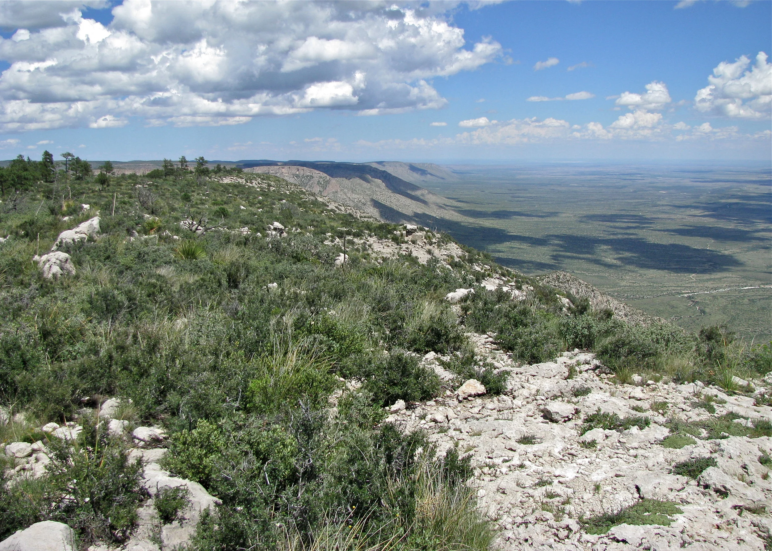 Guadalupe Escarpment