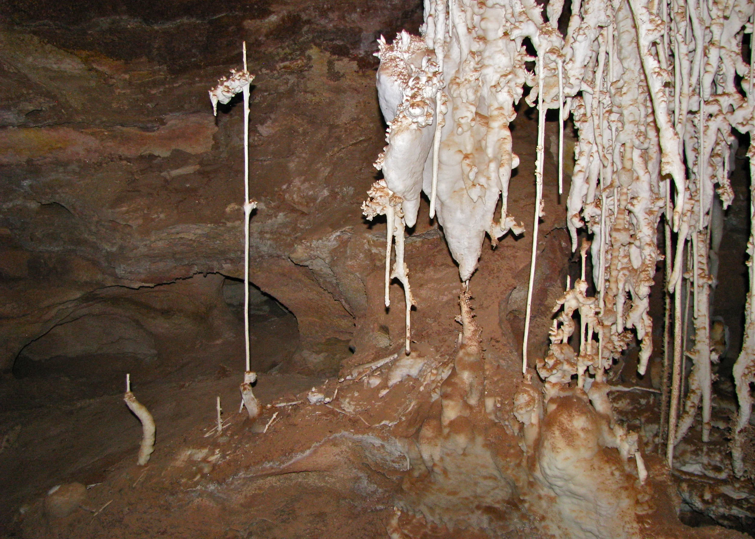 The "mace" at left is almost three feet tall