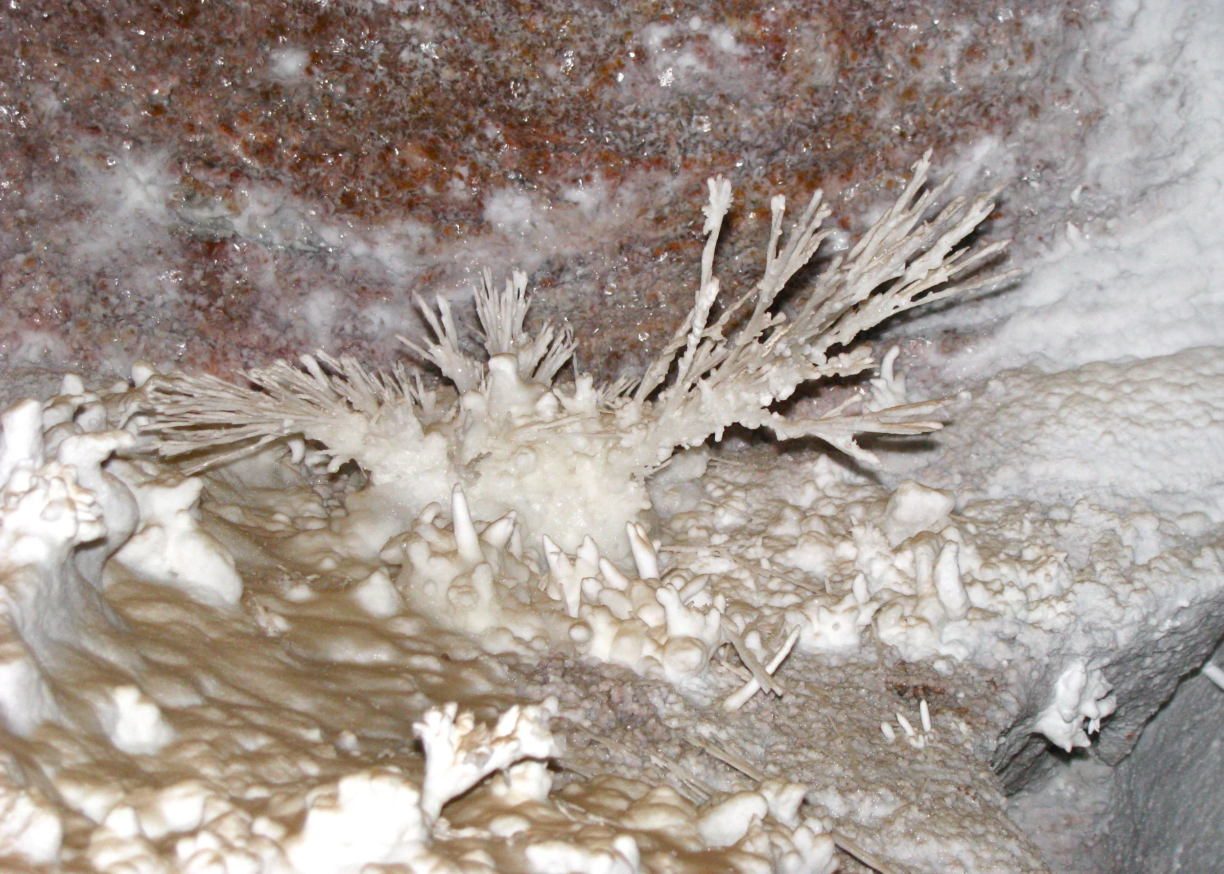 Aragonite crystals spanning about ten inches