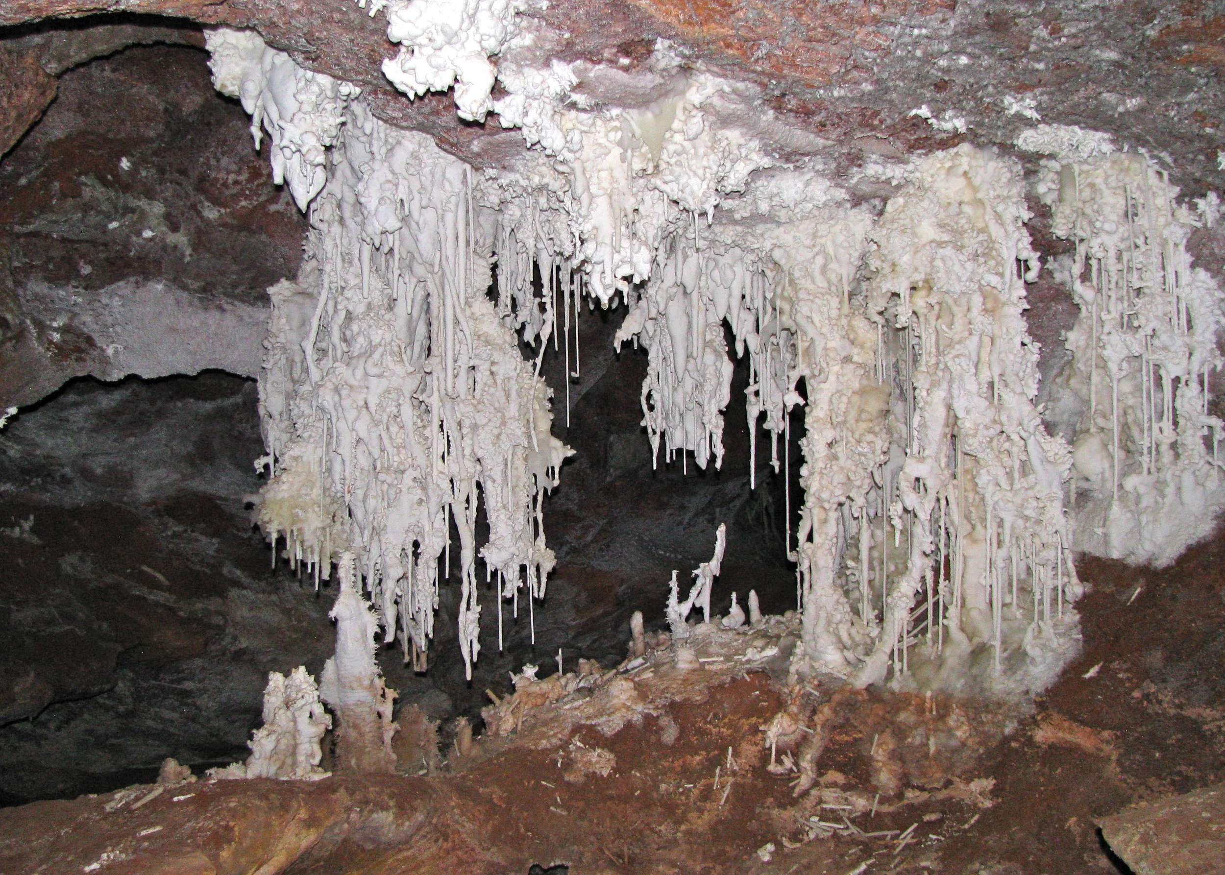 White calcite soda straws and columns