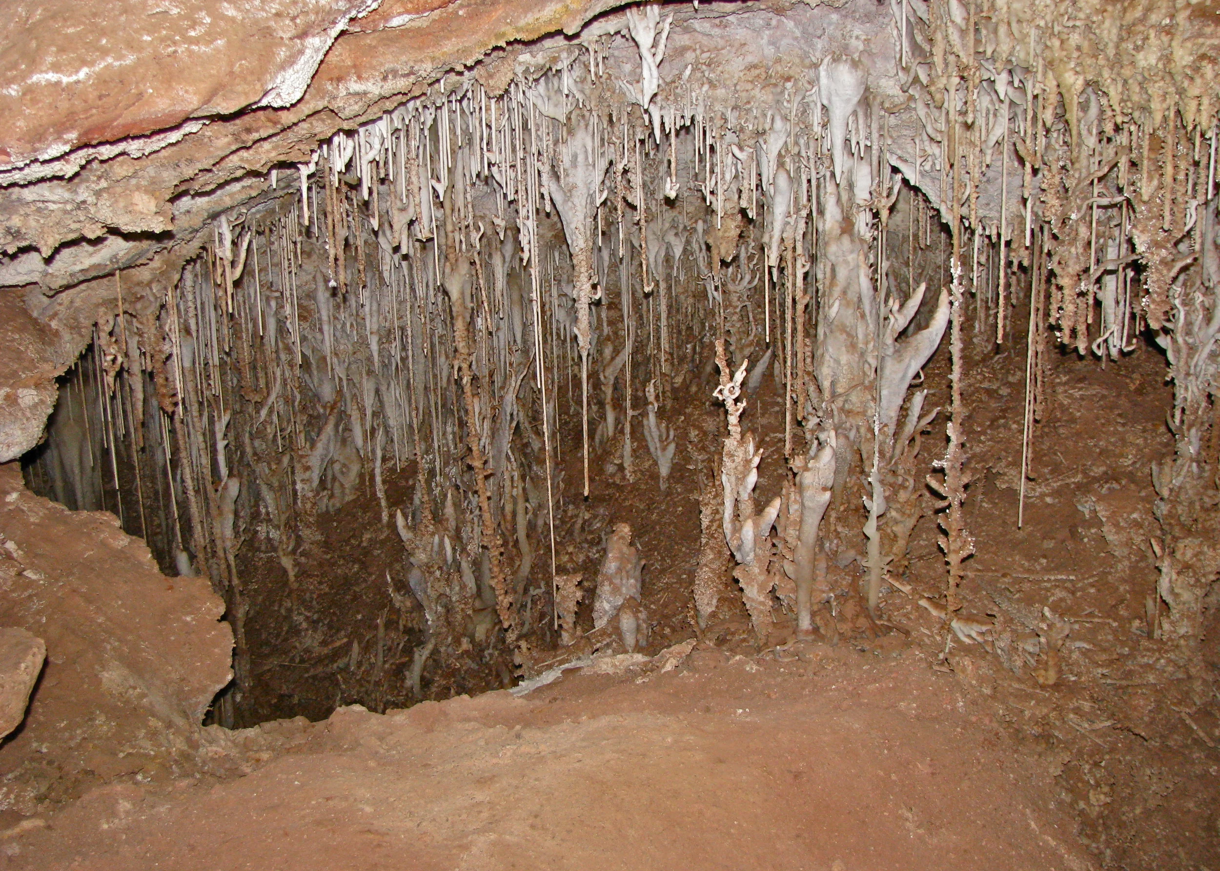 Soda straws and helictites