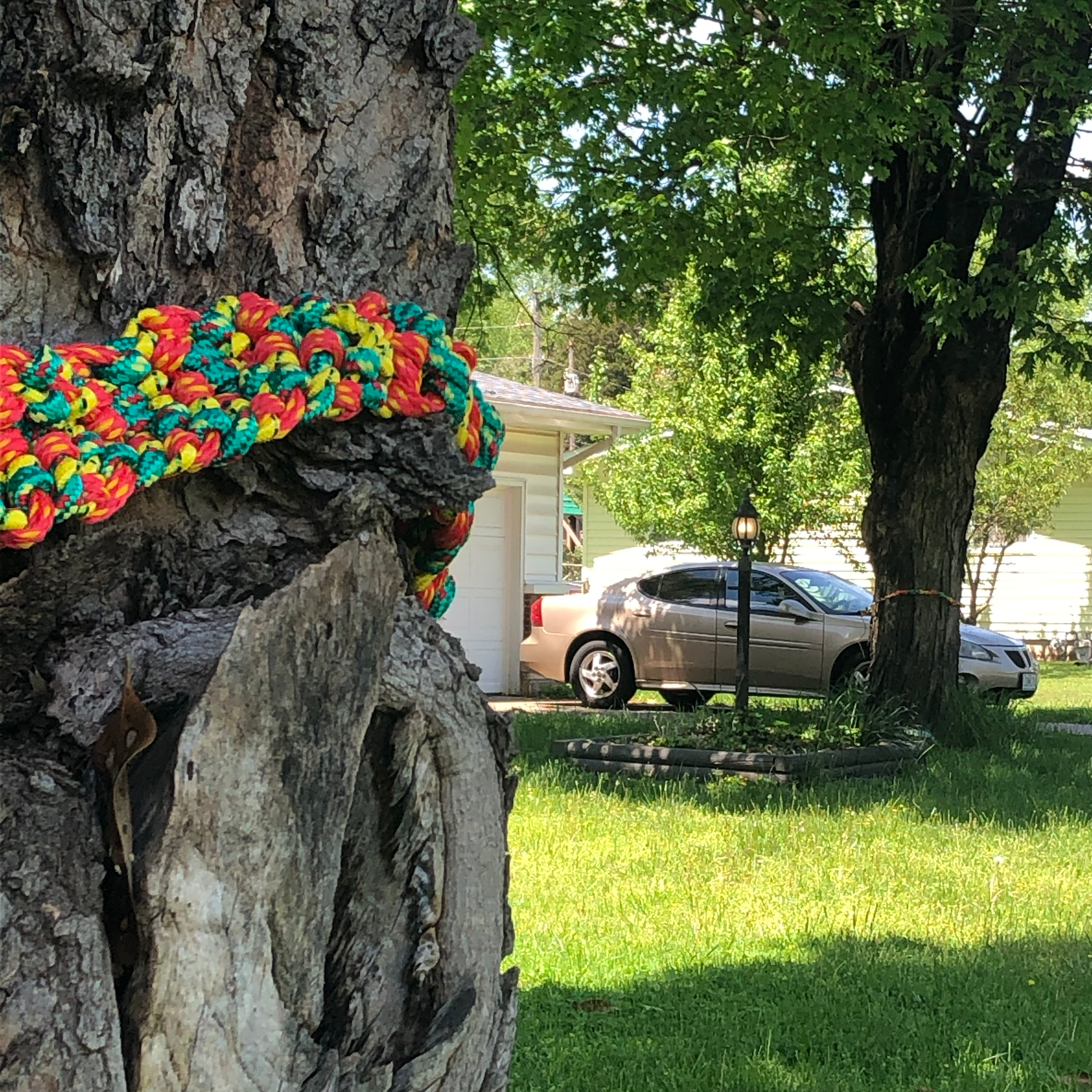 Friendship Bracelets for Socially Distanced Trees