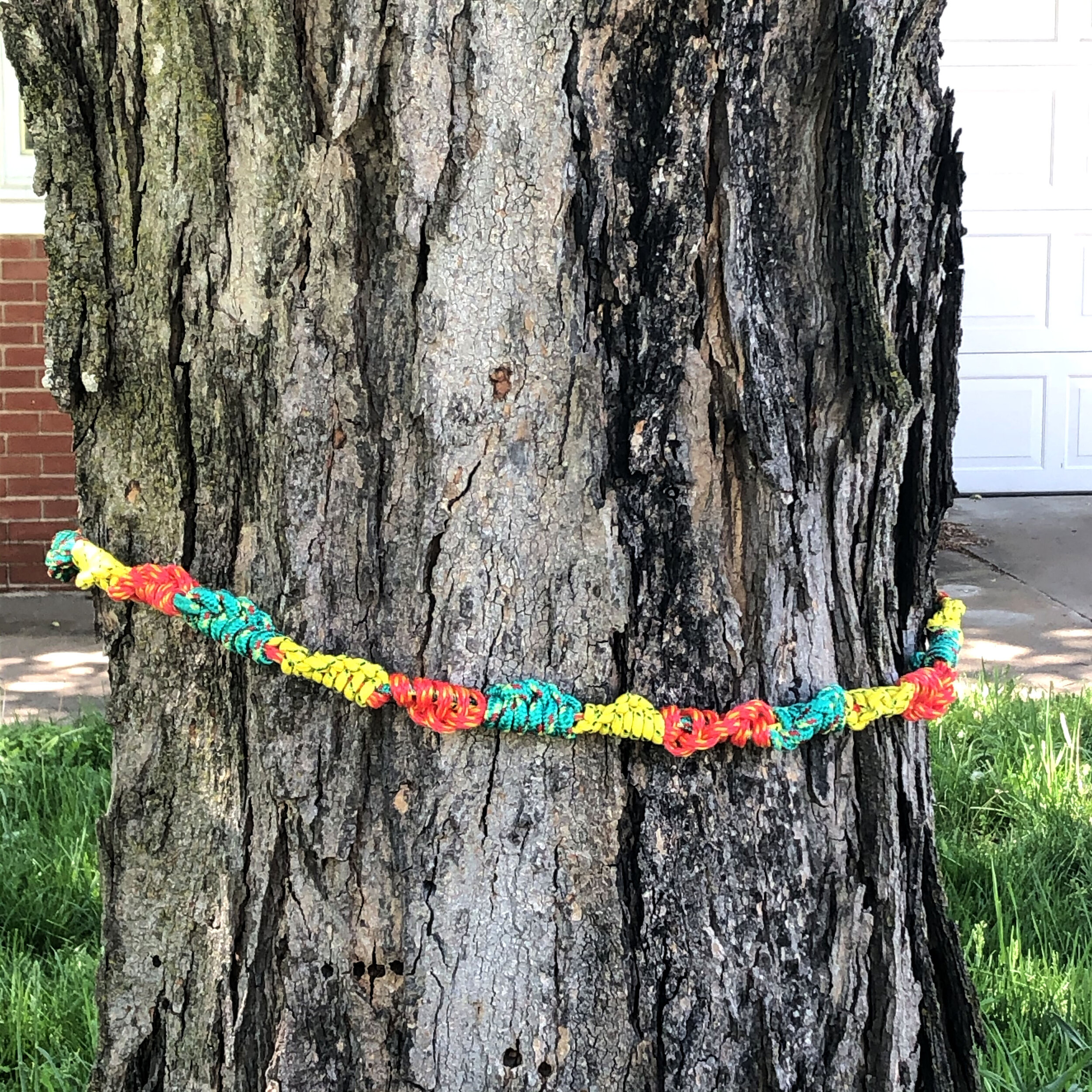 Friendship Bracelets for Socially Distanced Trees