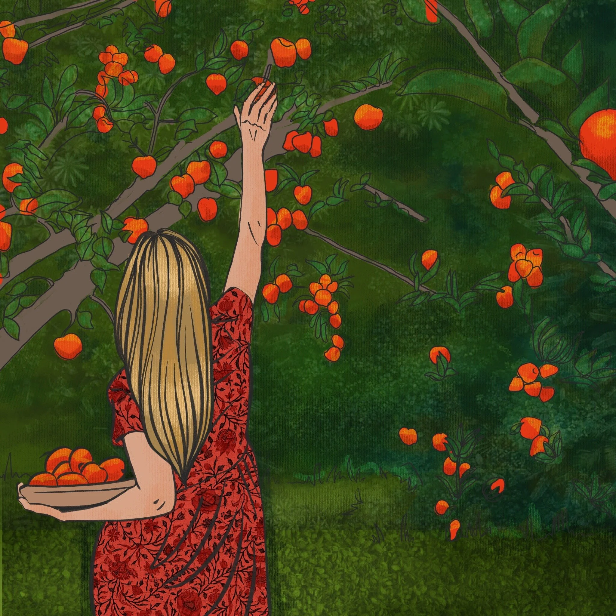 September 2020 Little Red Riding Hood drawings