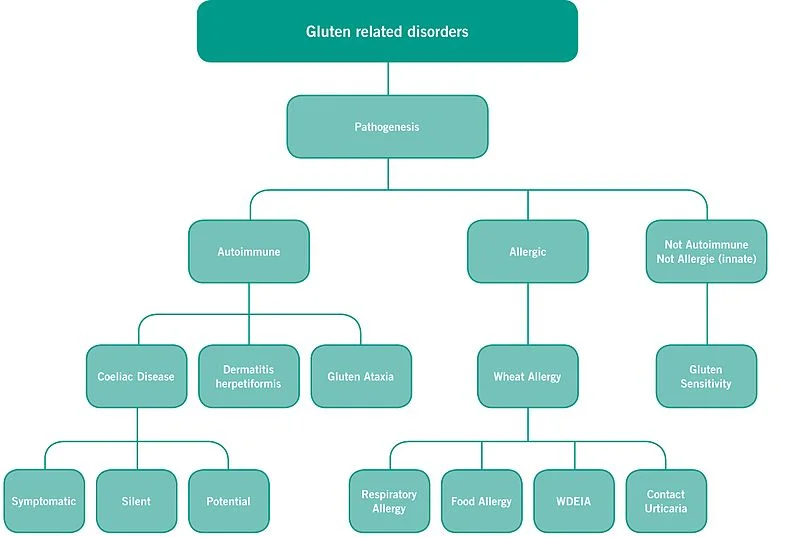 glutendisorders.jpg