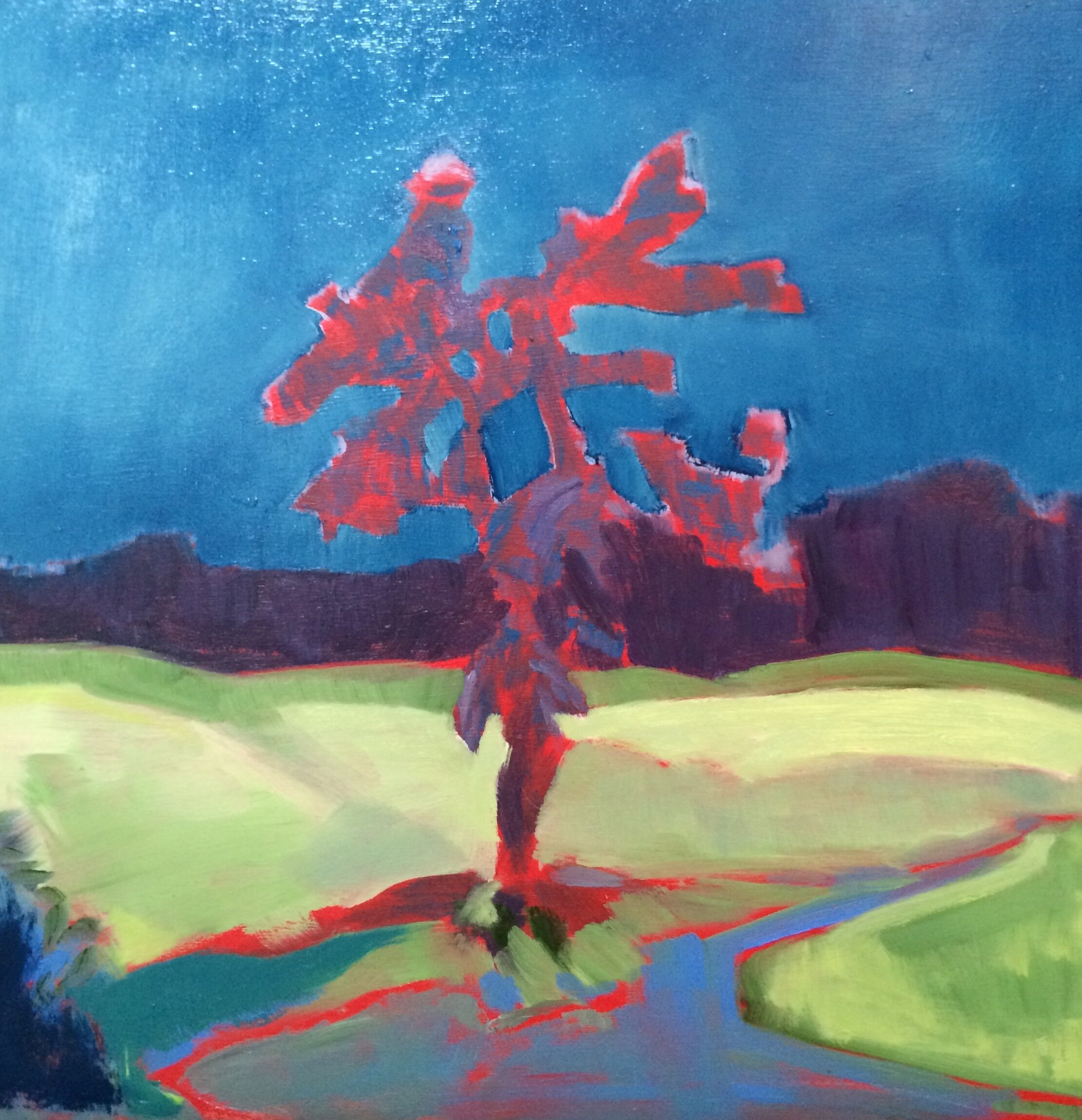 Study for Reagans field 2