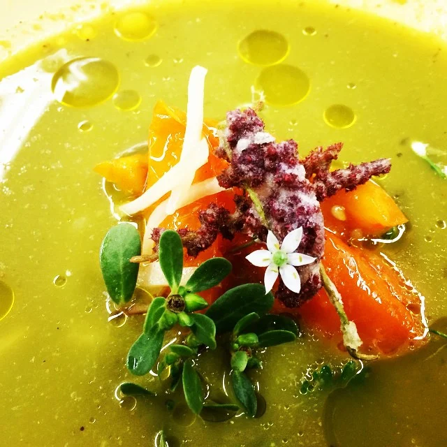 verdugo_gazpacho_amaranth.jpg