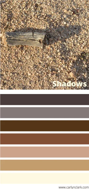 Shadows in the Sand Color Palette