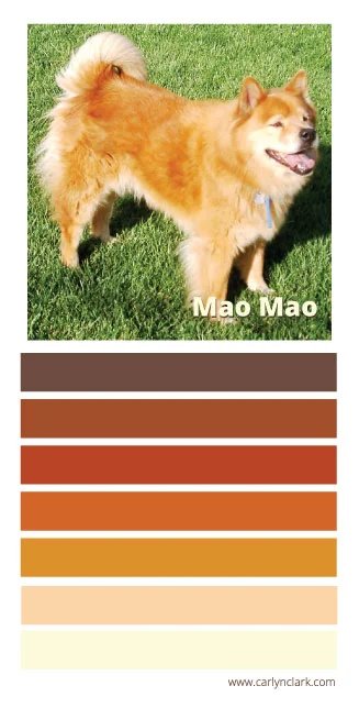 In Honor of National Mutt Day, a Color Palette Inspired by Mao Mao 