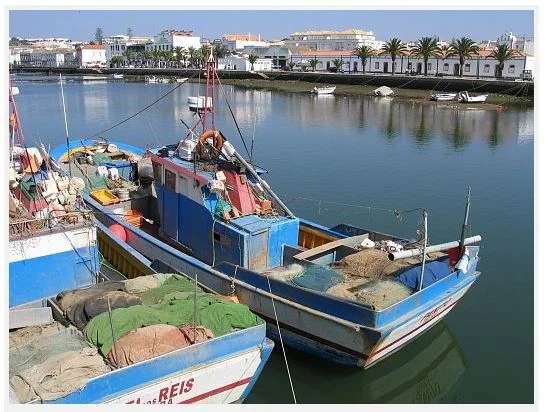 Fishing boat in Tavira. Photo by Osvaldo Gago