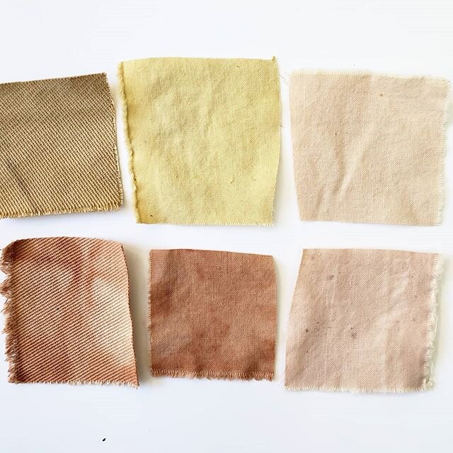 Swatches of cottons dyed with carrot tops.