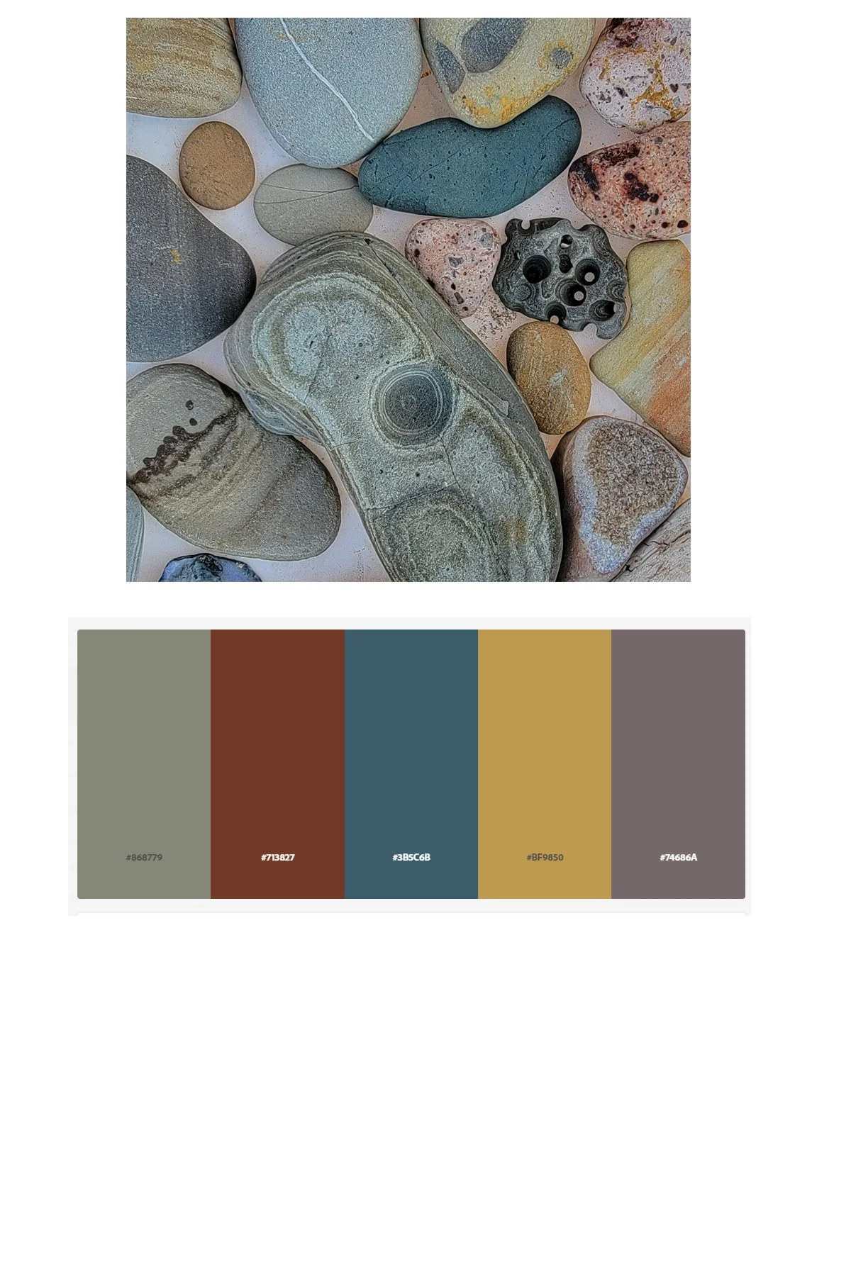 Beach Stone Inspired Color Palette