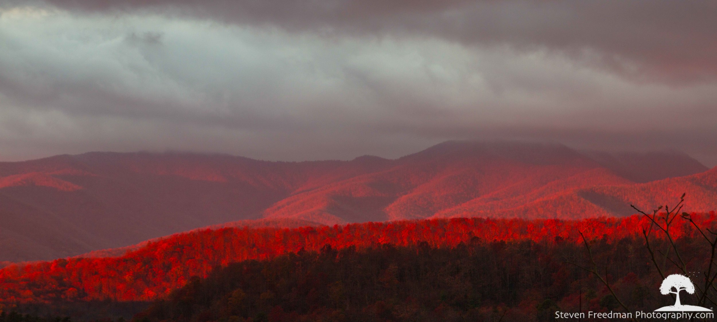 Red velvety first light kissing Bad Fork Valley. I had never seen light like this. 