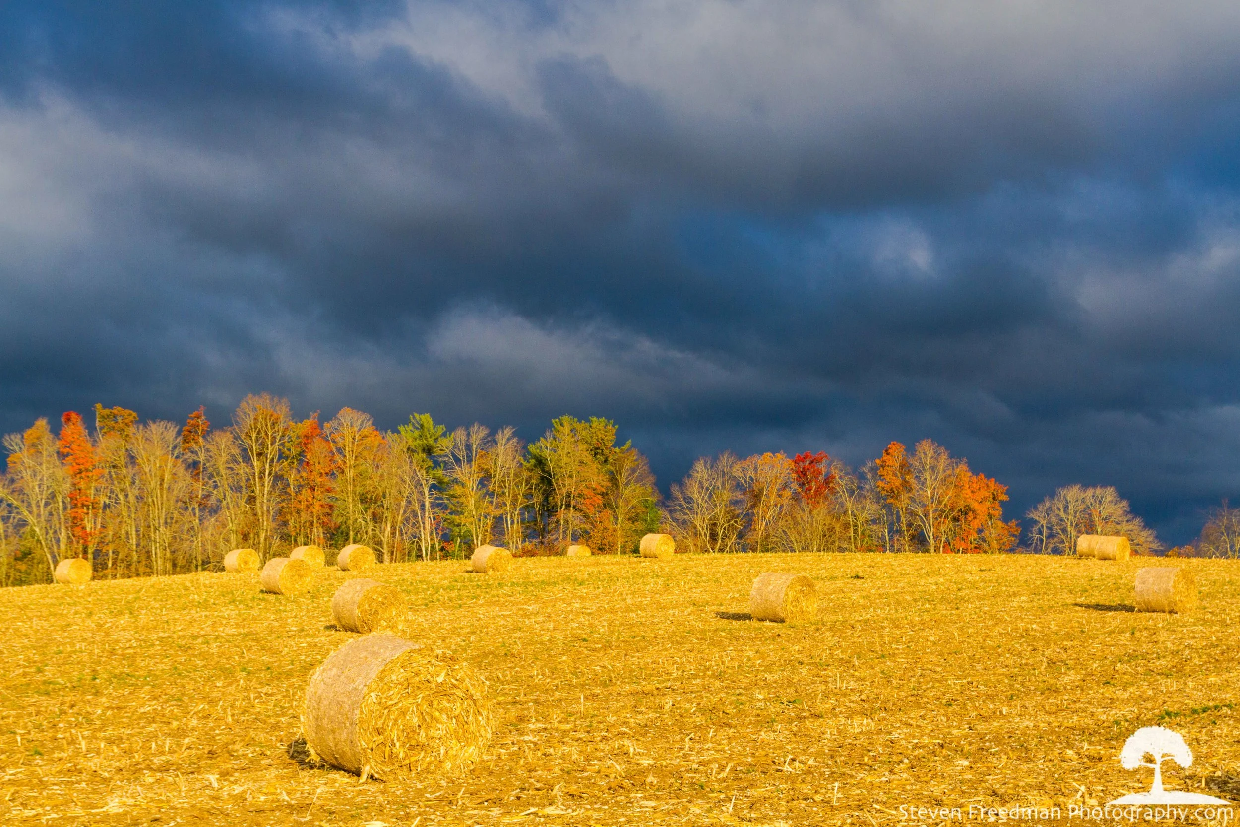 I captured this image of these hay bales on Highway 280 on my way toward Brevard. 