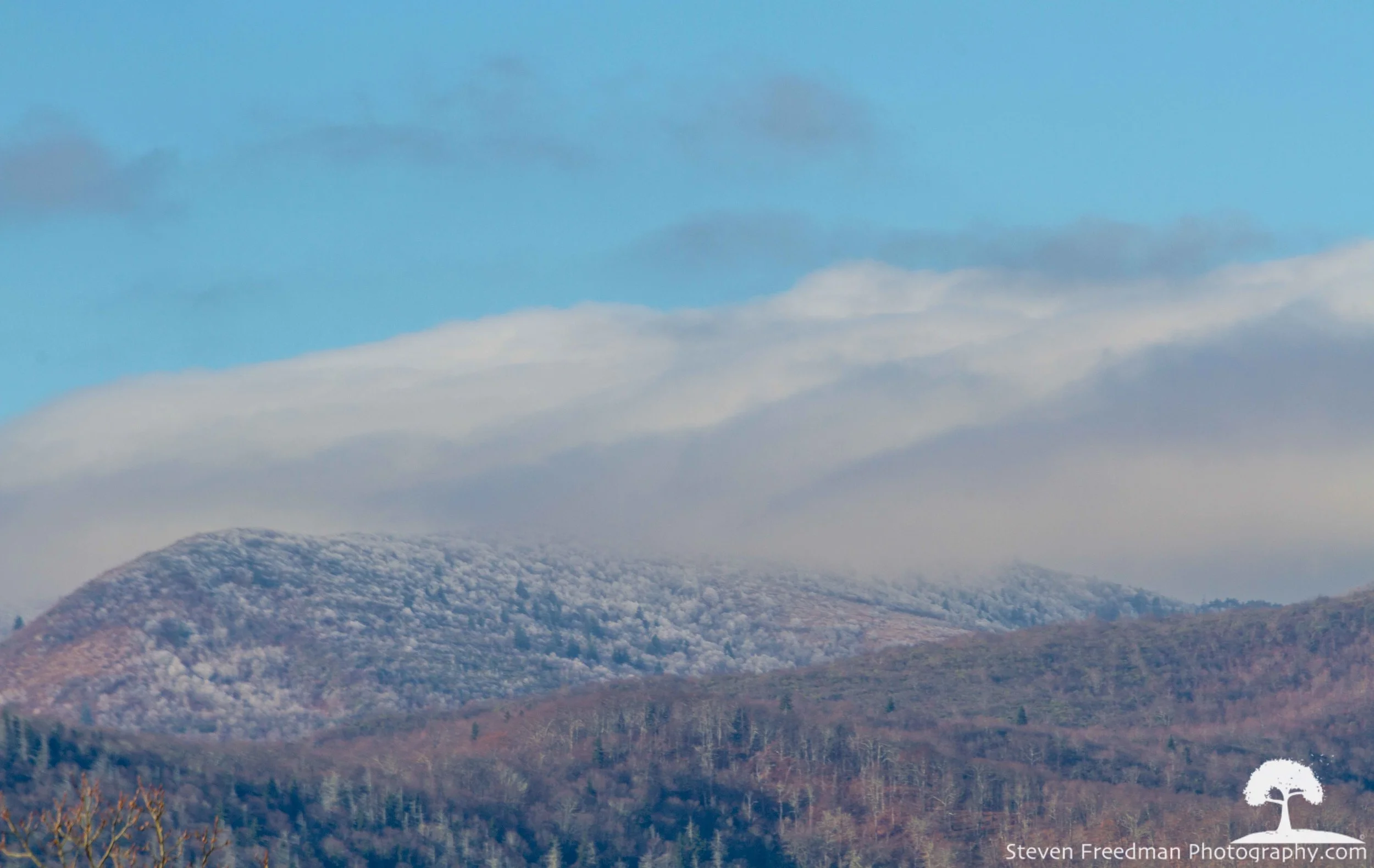 Icy mountain tops looking into Shining Rock Wilderness. Taken from the Blue Ridge Parkway near the Highway 276 junction. 