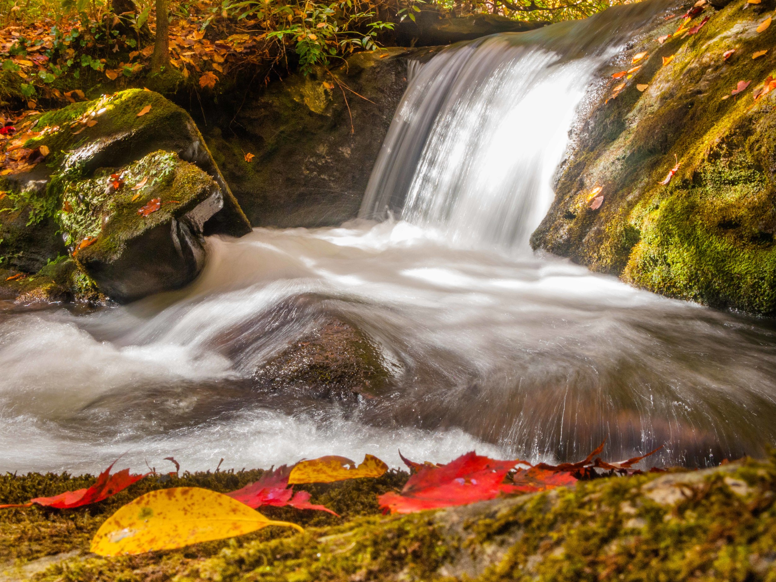 A un-named waterfall along the Middle Fork Trail . 