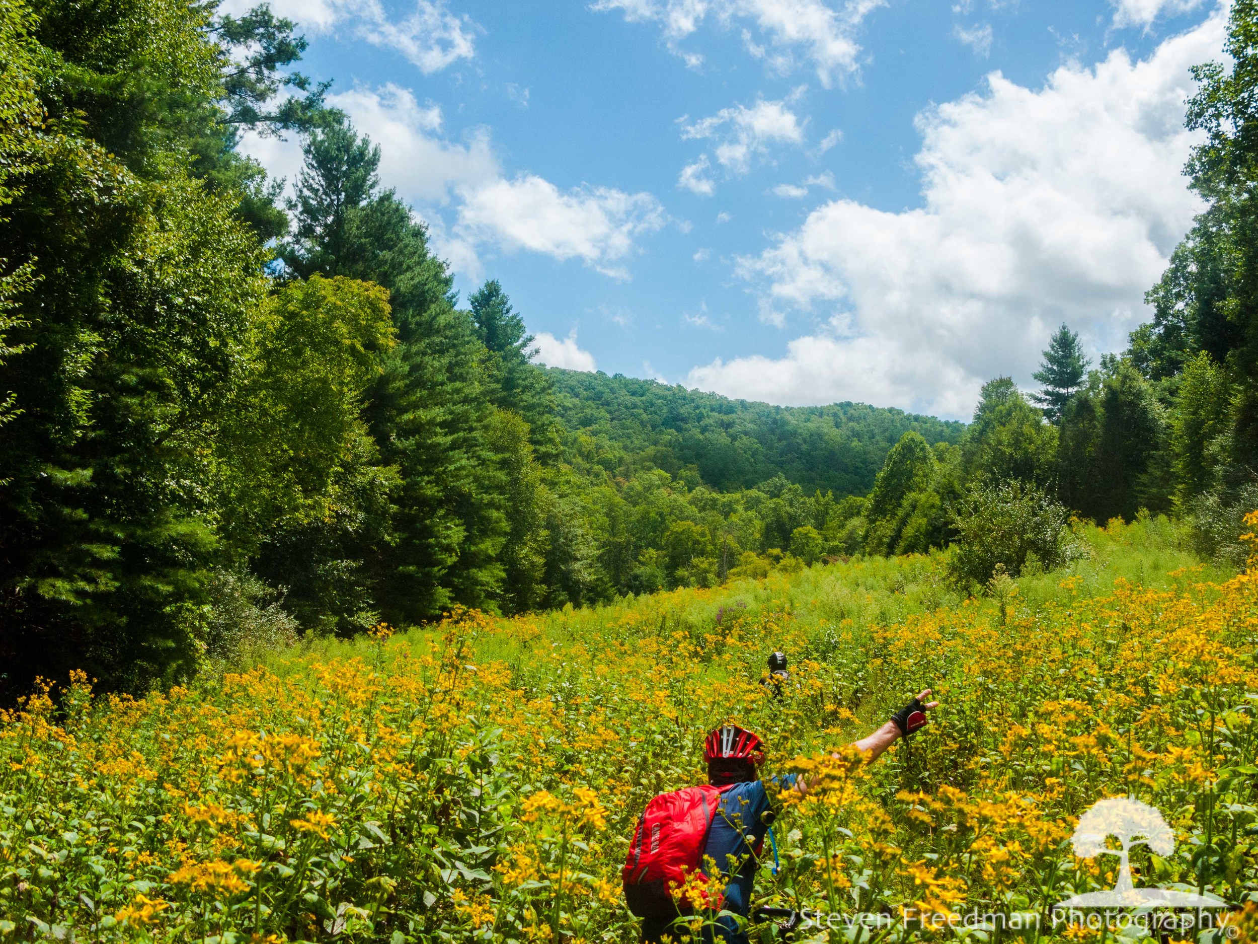 Riding through a field of Golden Rod in late September along the Fletcher Creek Trail.