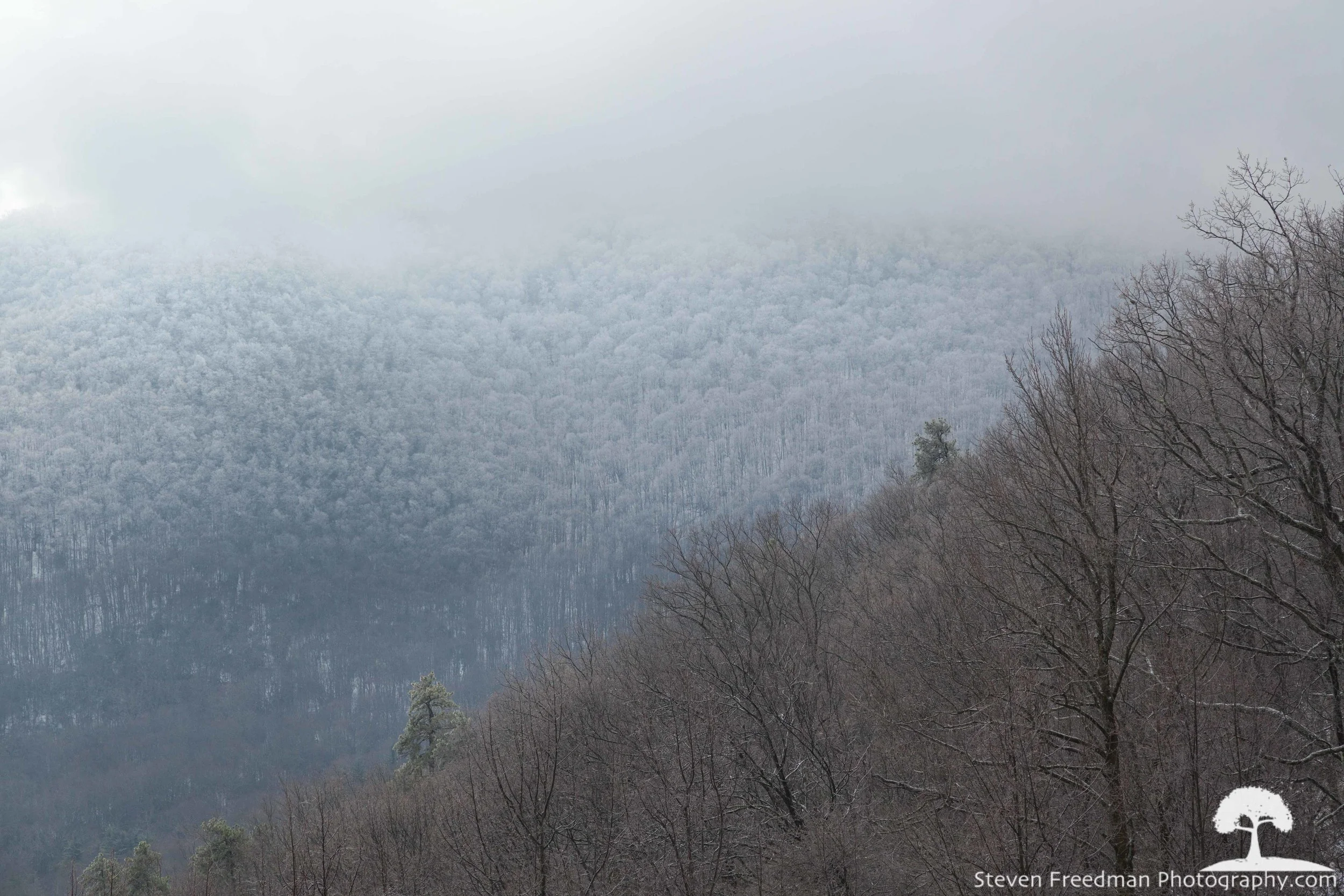 Beautiful Rime Ice in the mountains. 