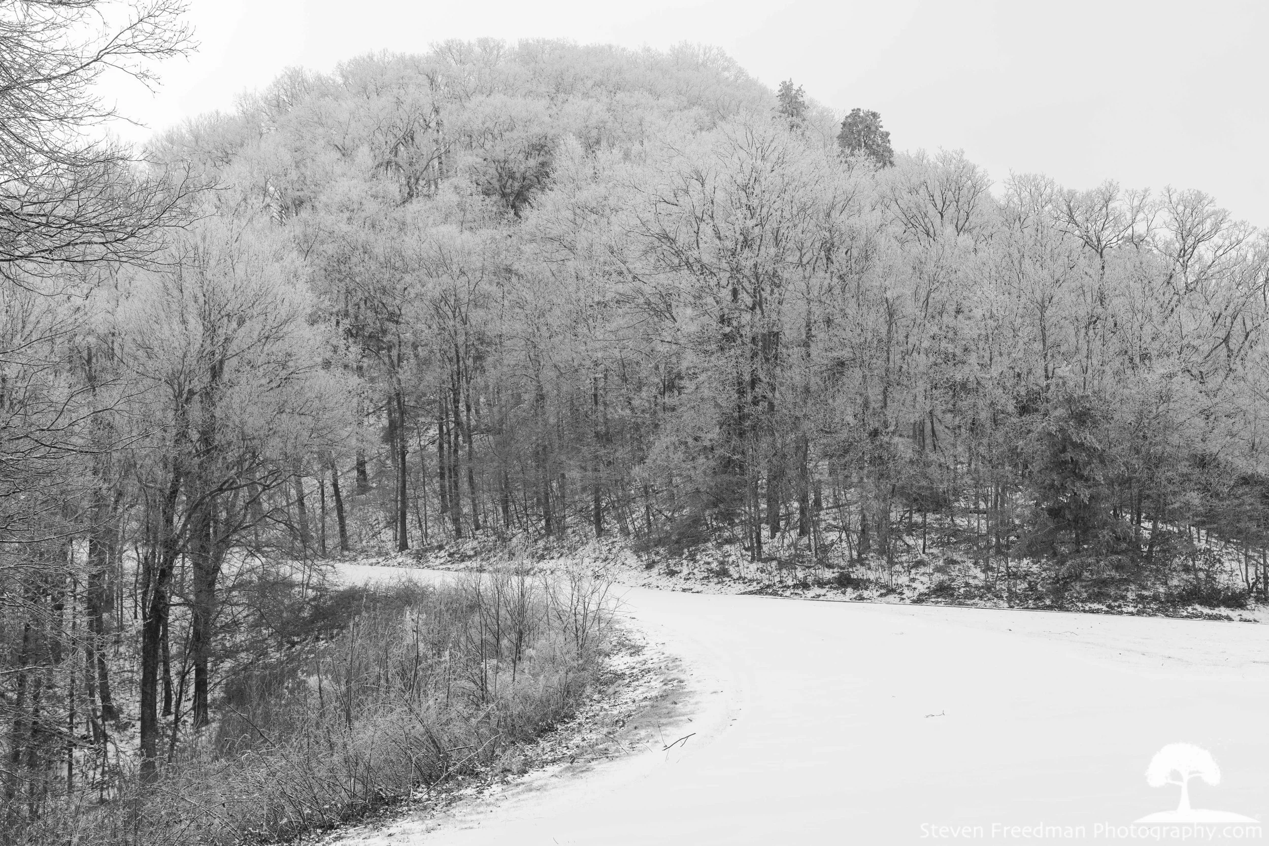 More of the Rime. 