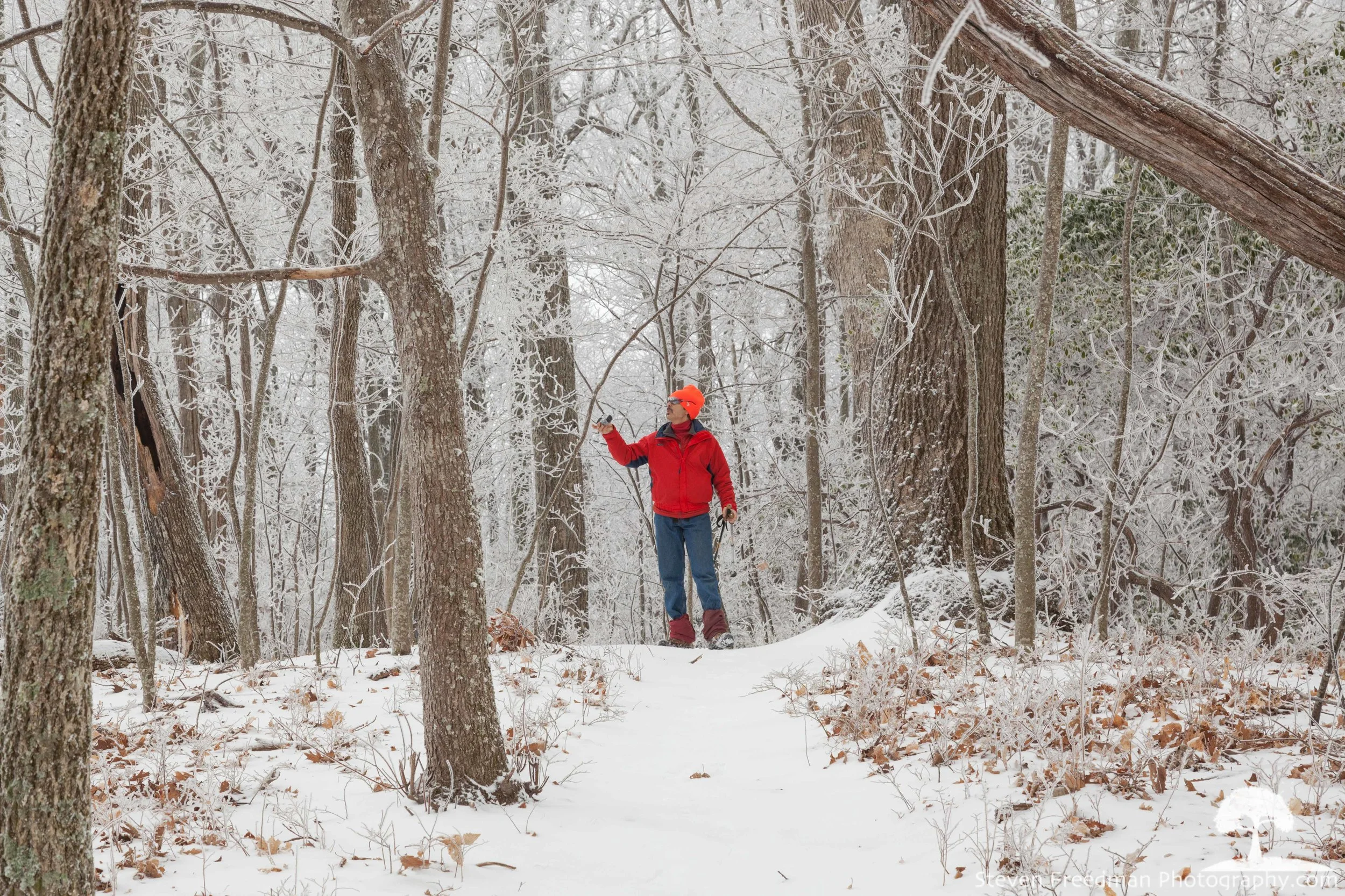 My friend Marc, In the Rime. 