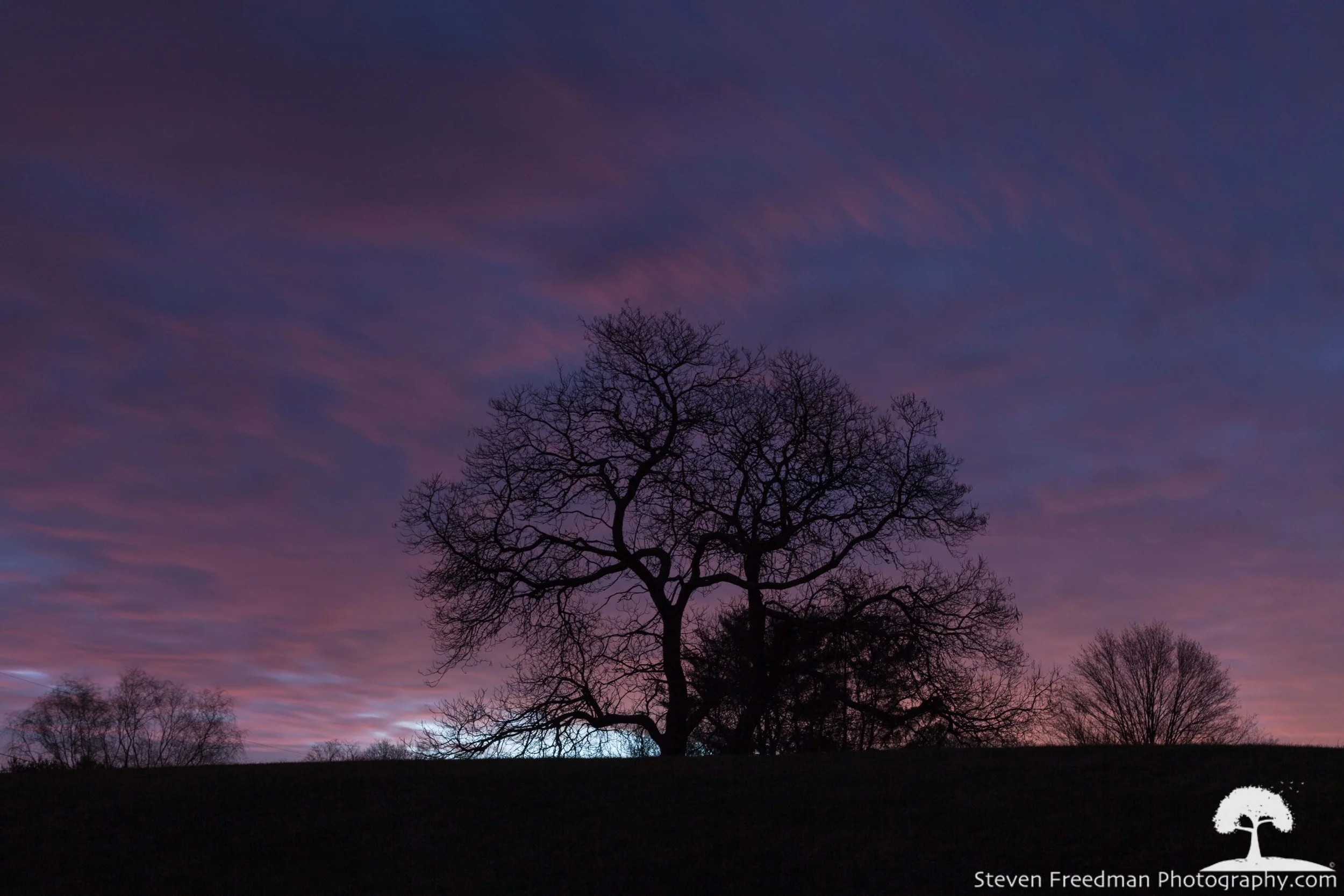 First Light at Noble Tree