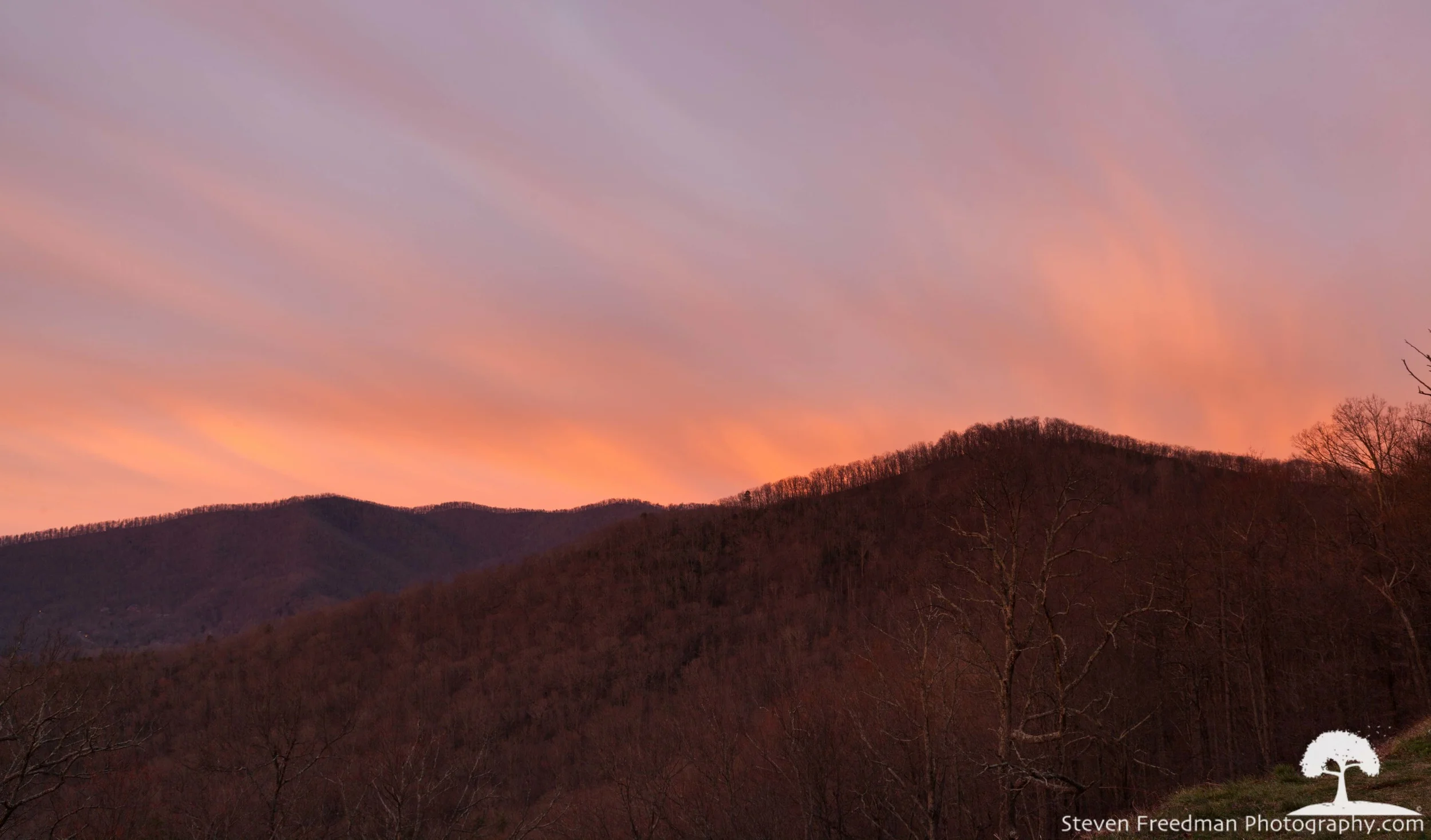 Pink Light over Pine Mountain 