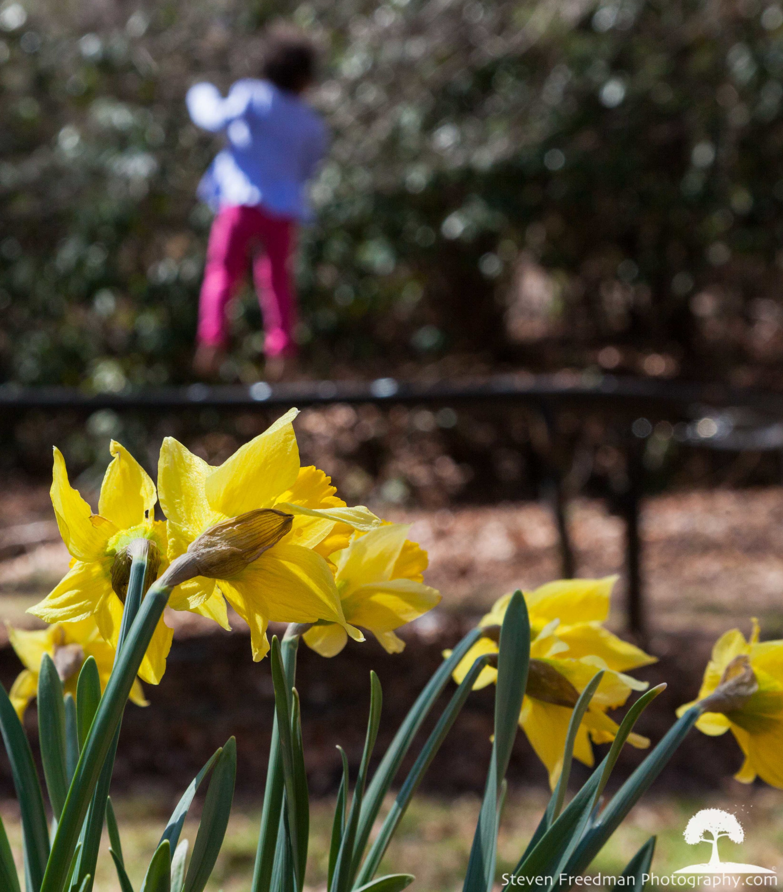 Celebrating Spring 