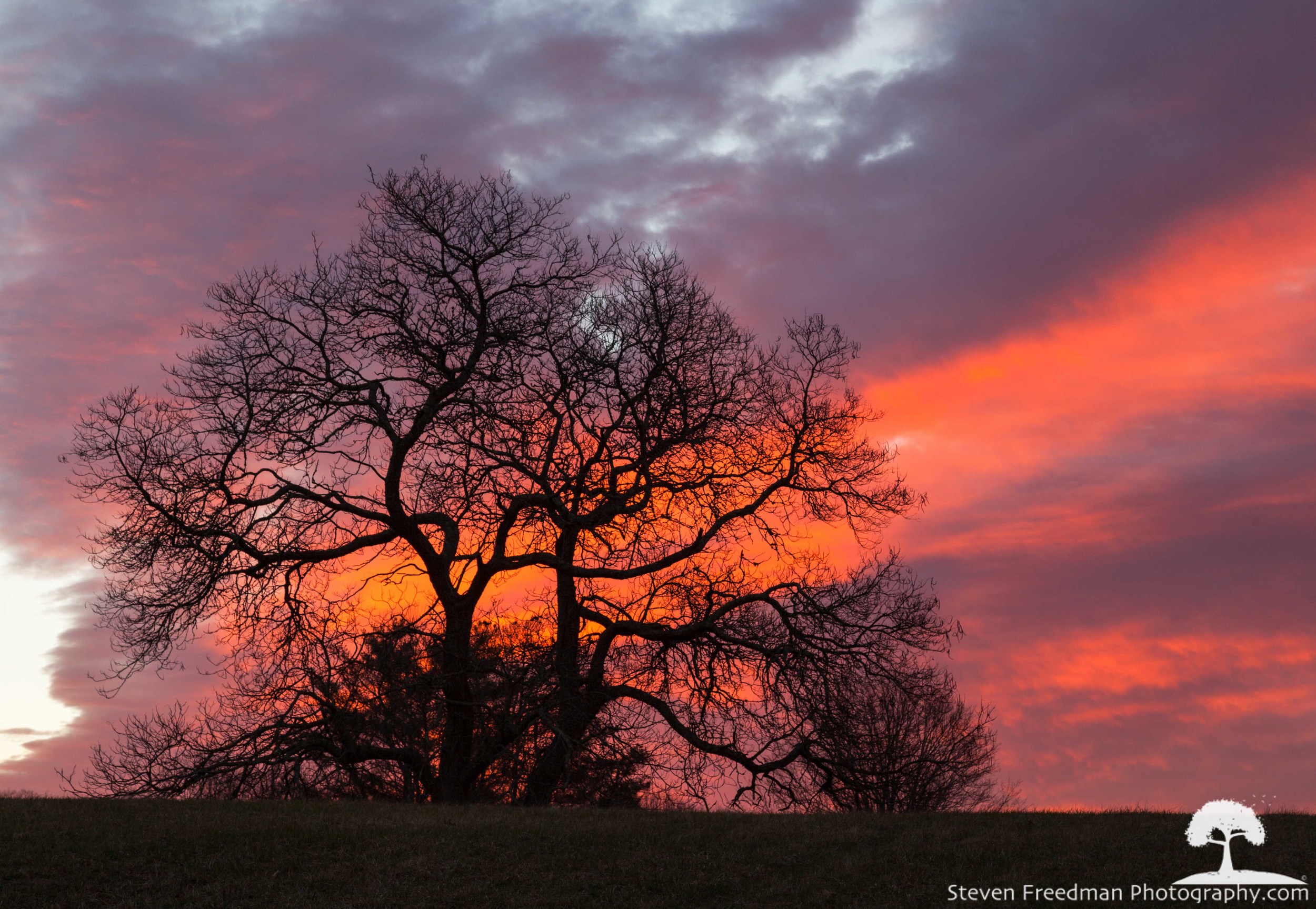 Fire in the Sky