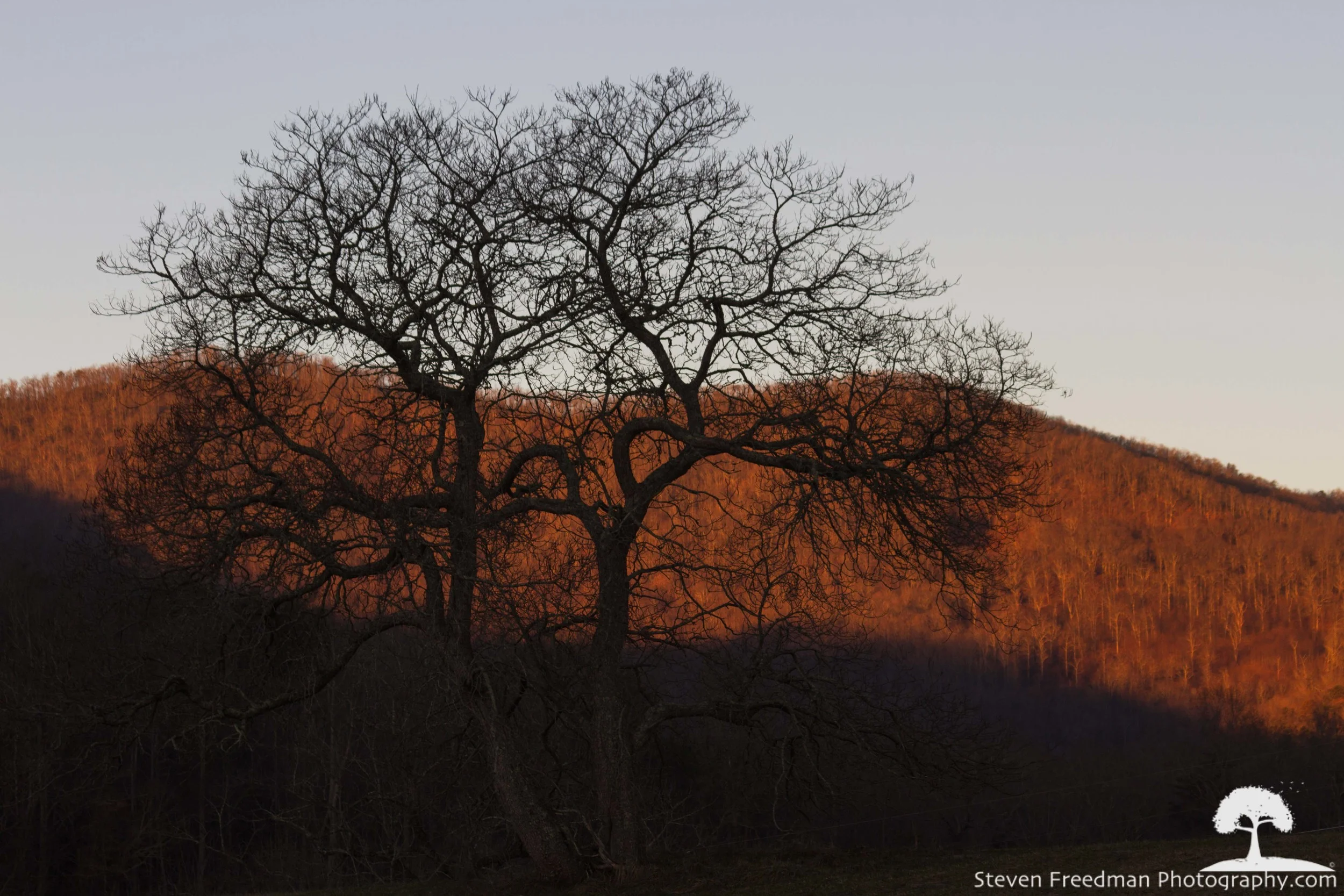 First Light on Sleepy Gap
