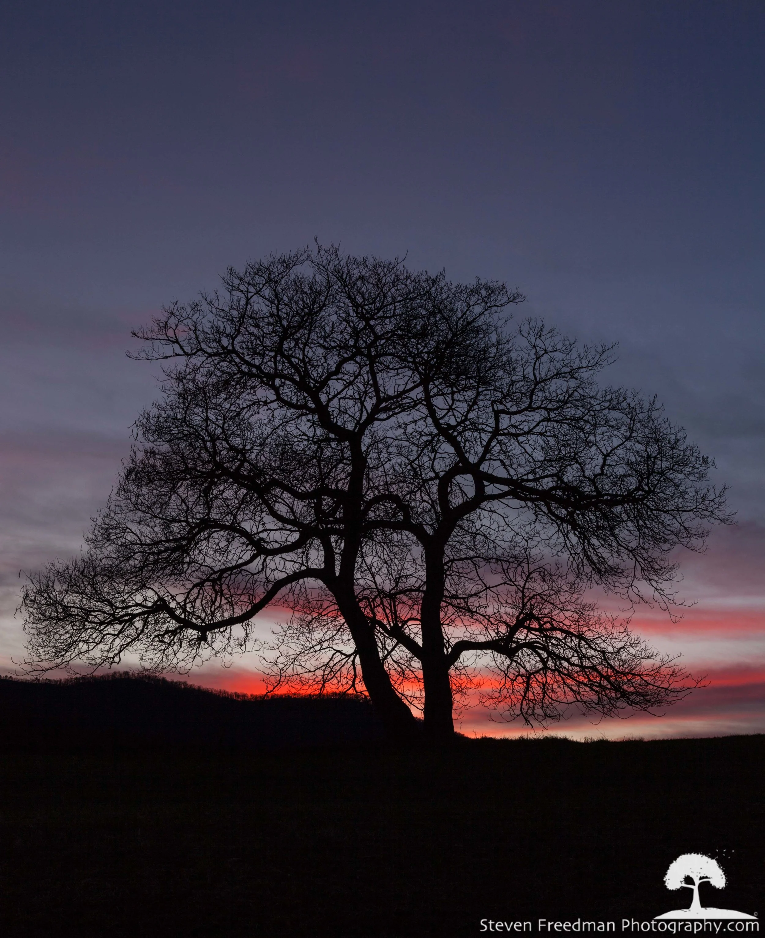 Last Bit of Light