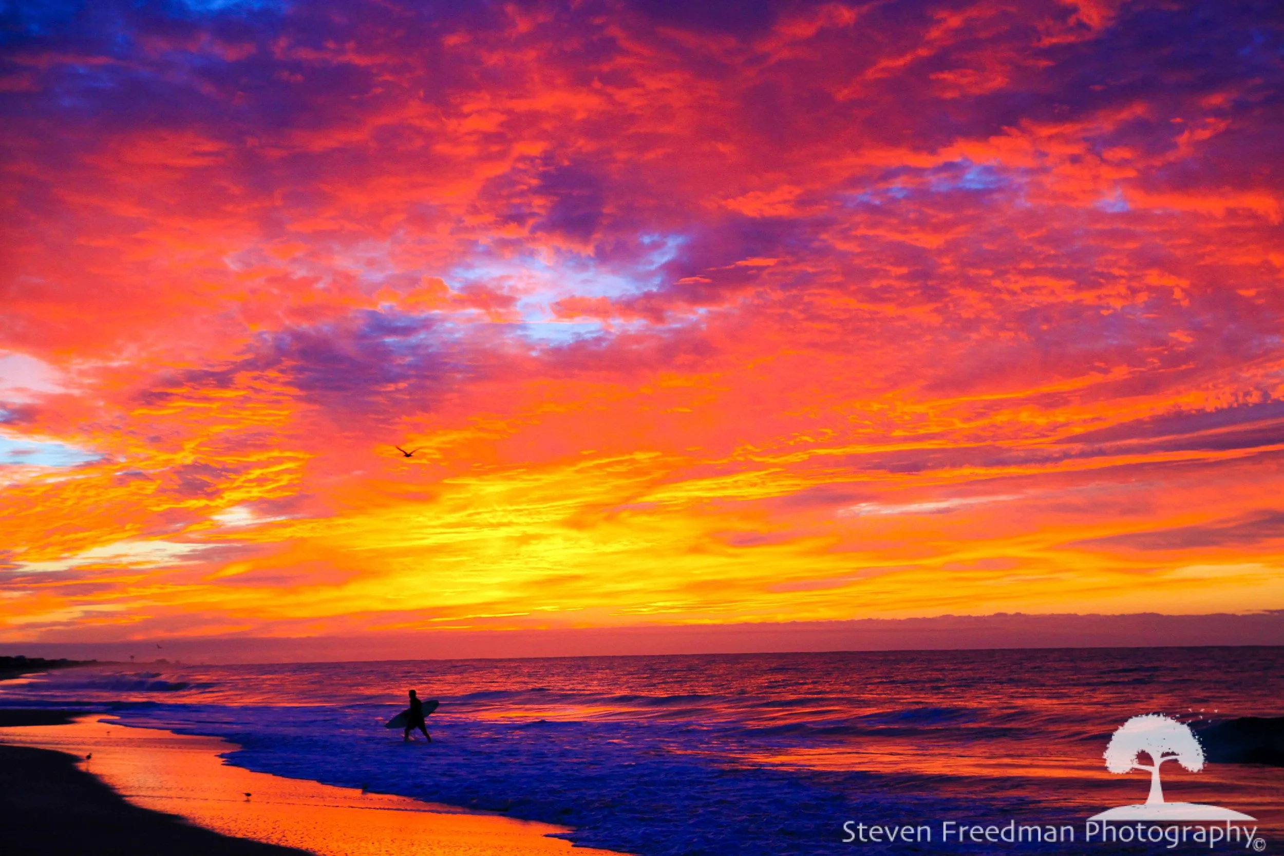Lucky Surfer