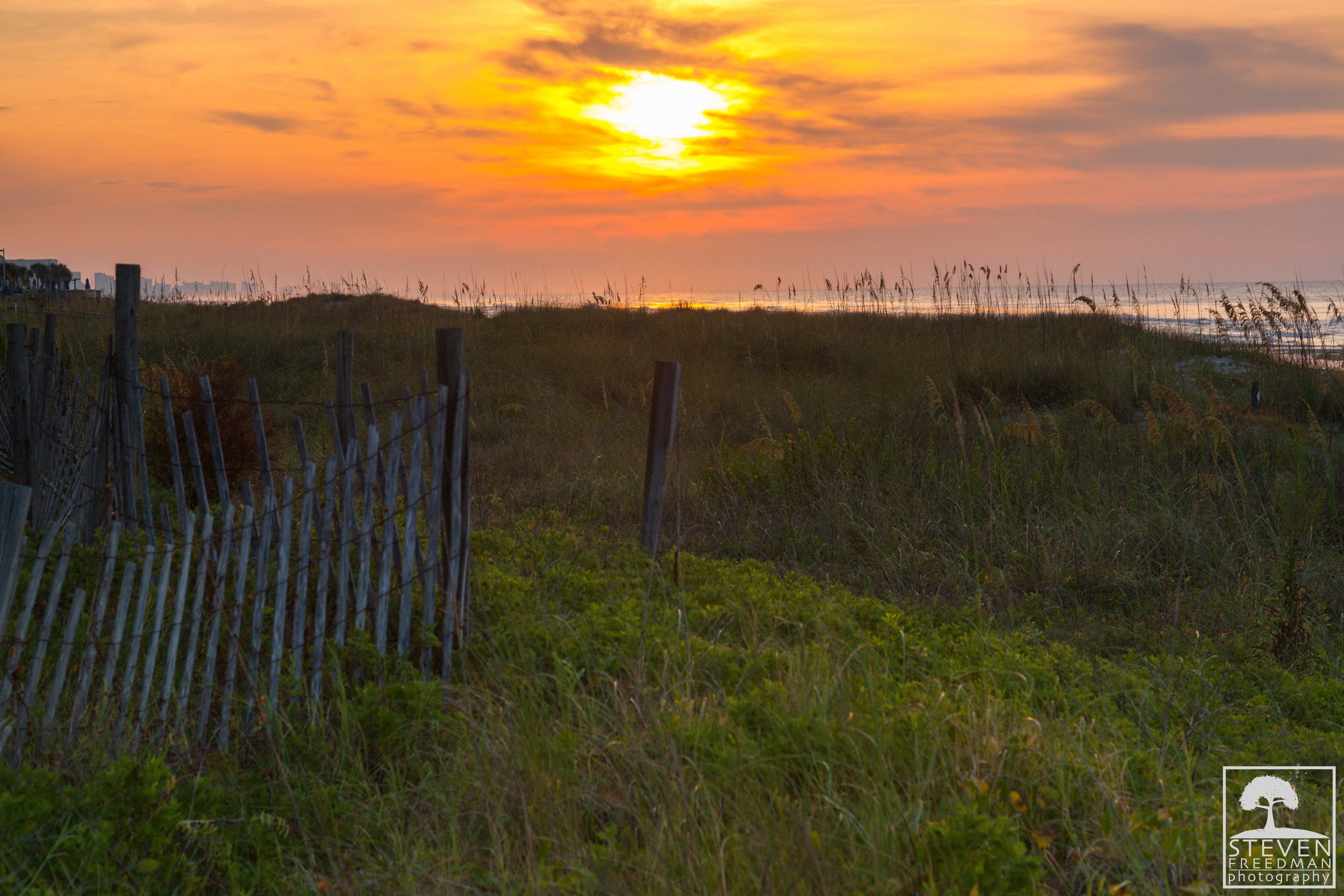 Over the dunes