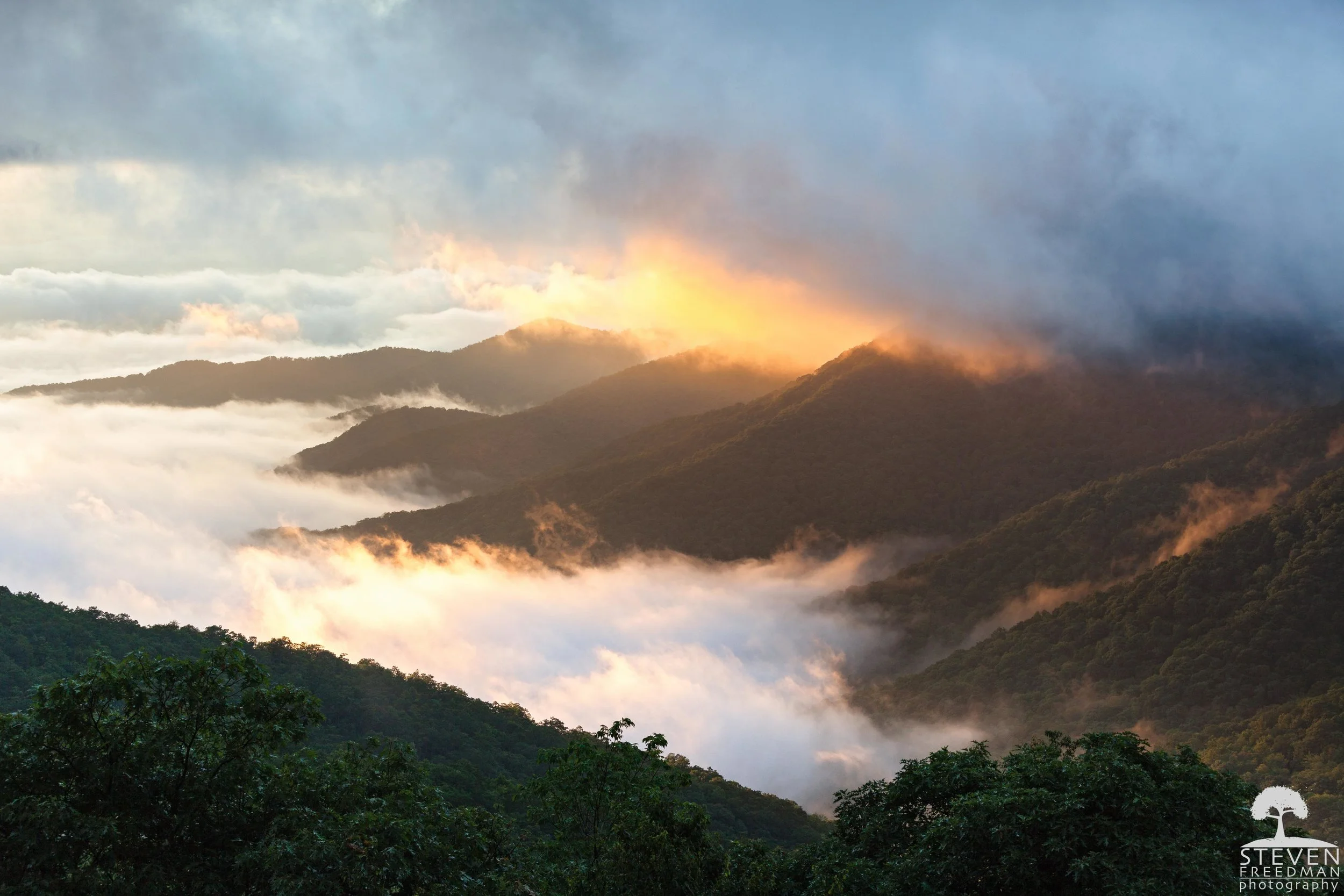 Fog meets Mountains