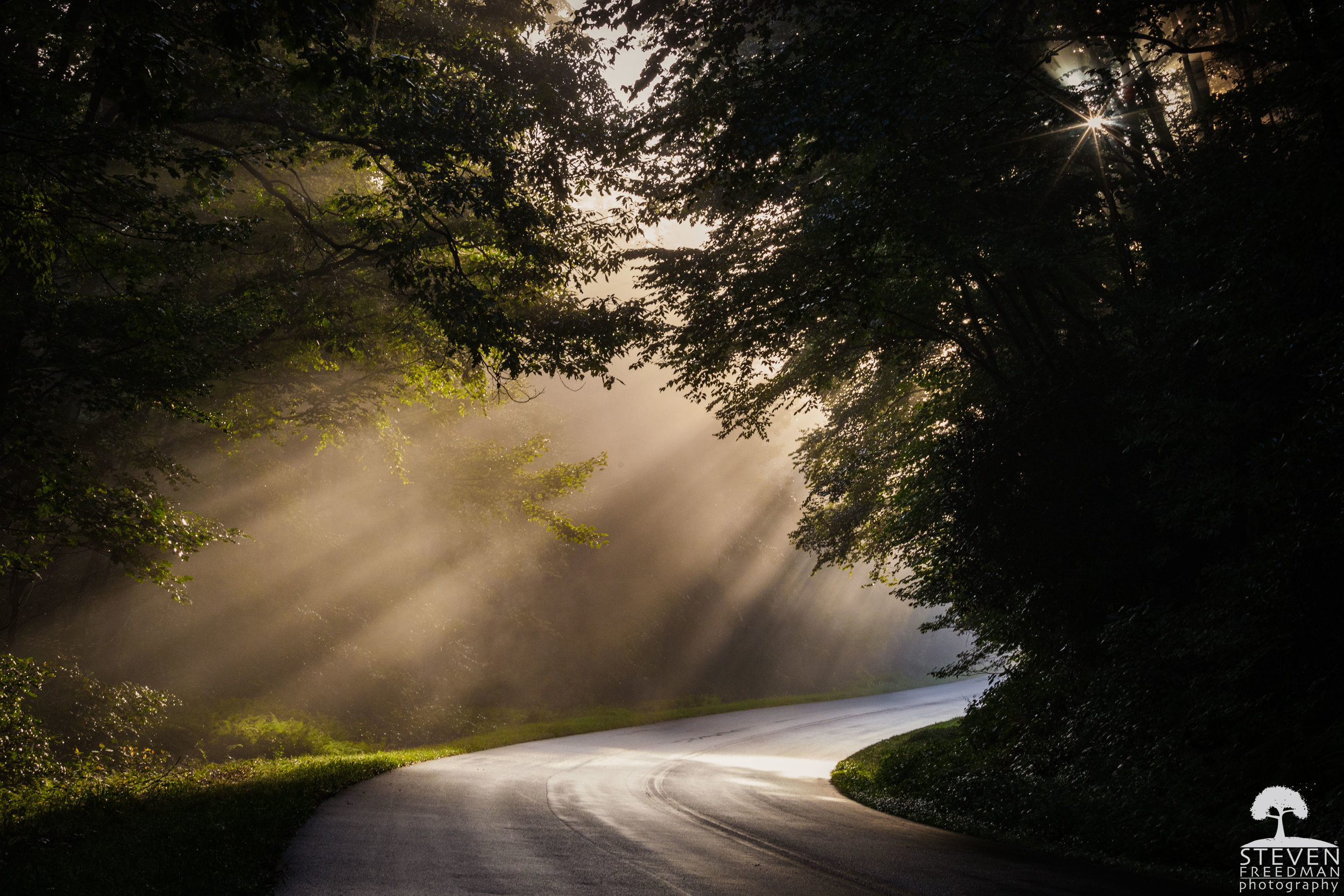 When the Morning Comes it Comes